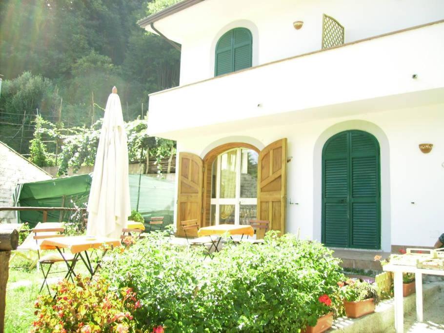 Villa Bianca photo 3
