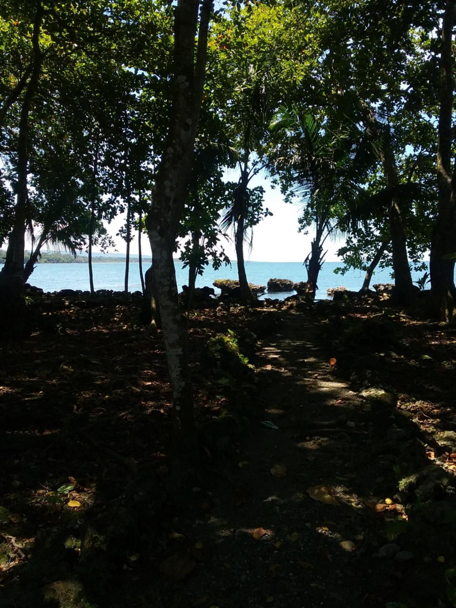 Cahuita Inn