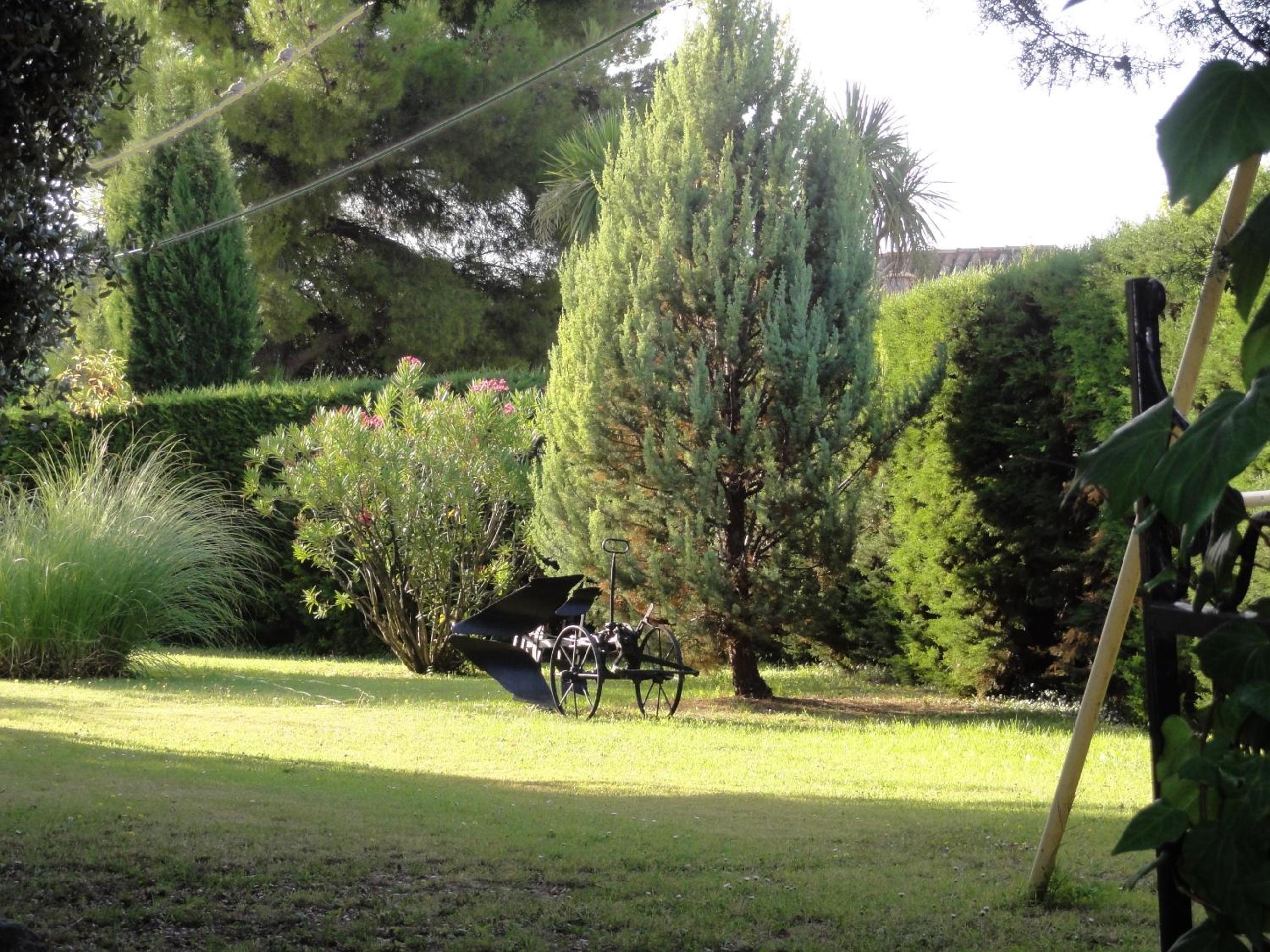 Photo 18