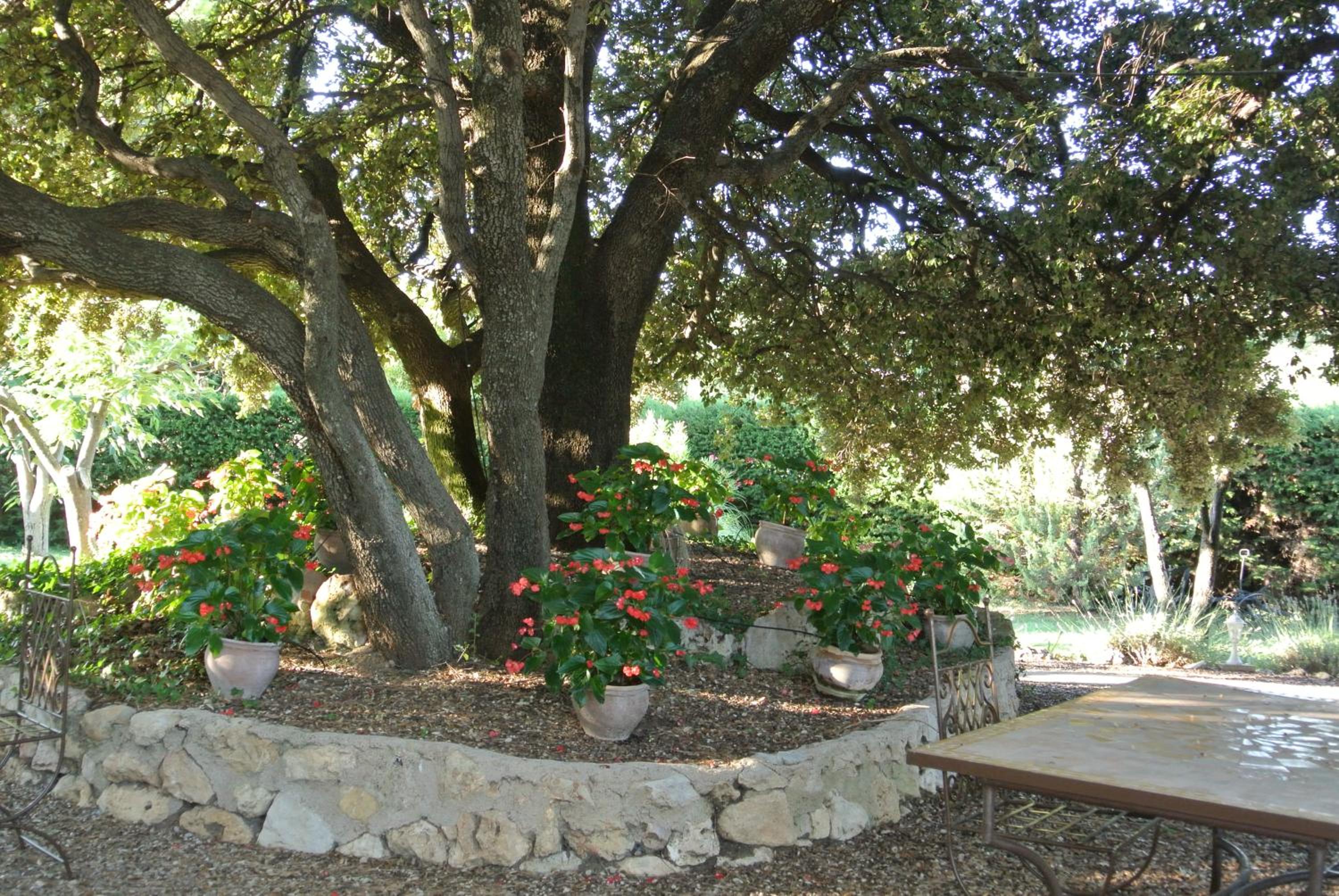 Photo 26