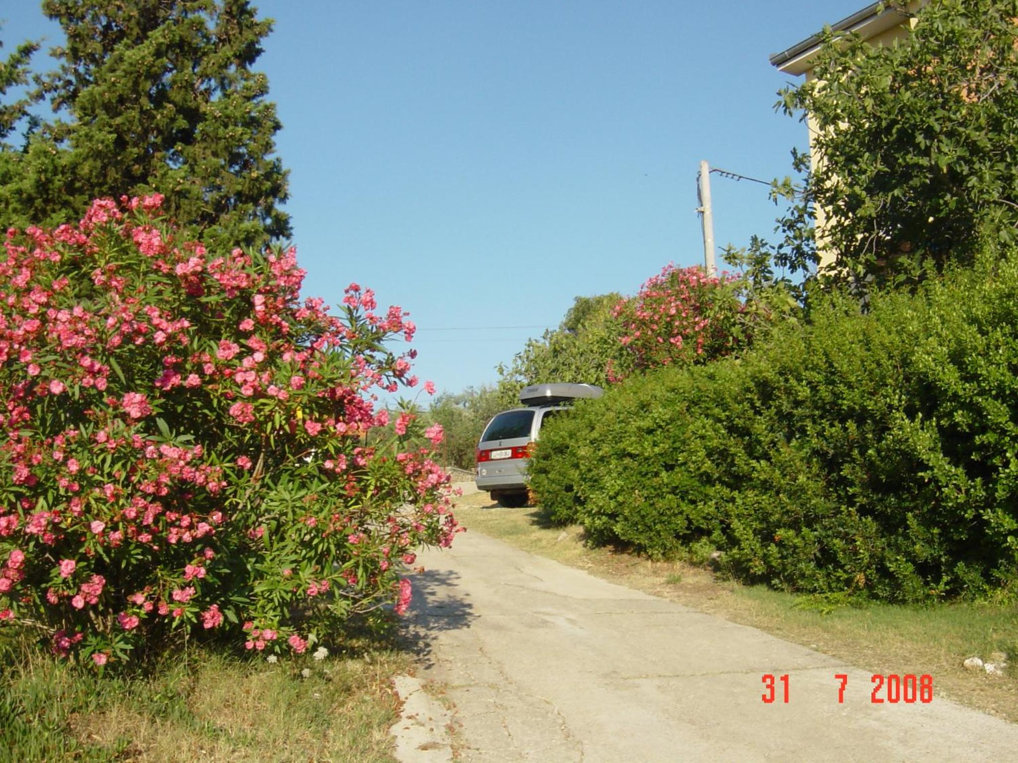 Photo 24