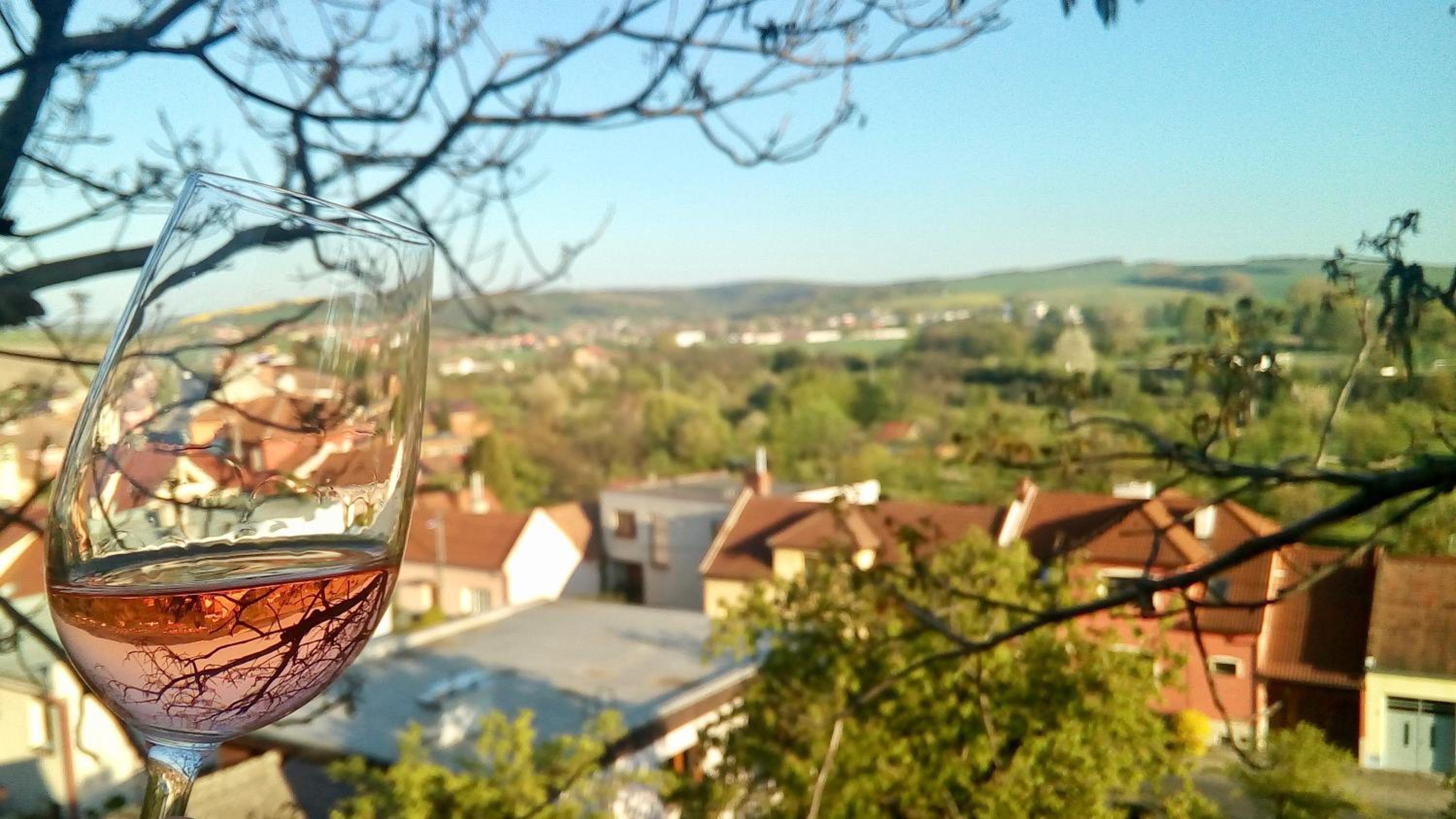 Ubytování ve Vinařství Medek | Medek House & Winery