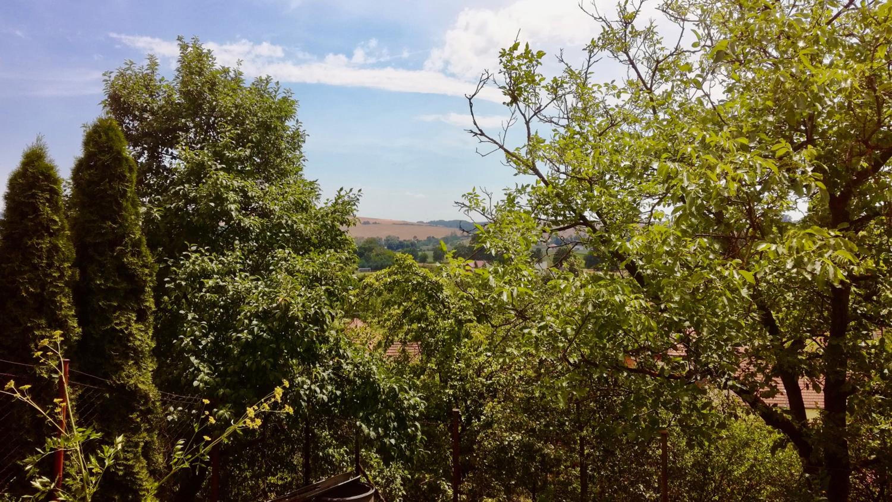 Ubytování ve Vinařství Medek | Medek House & Winery