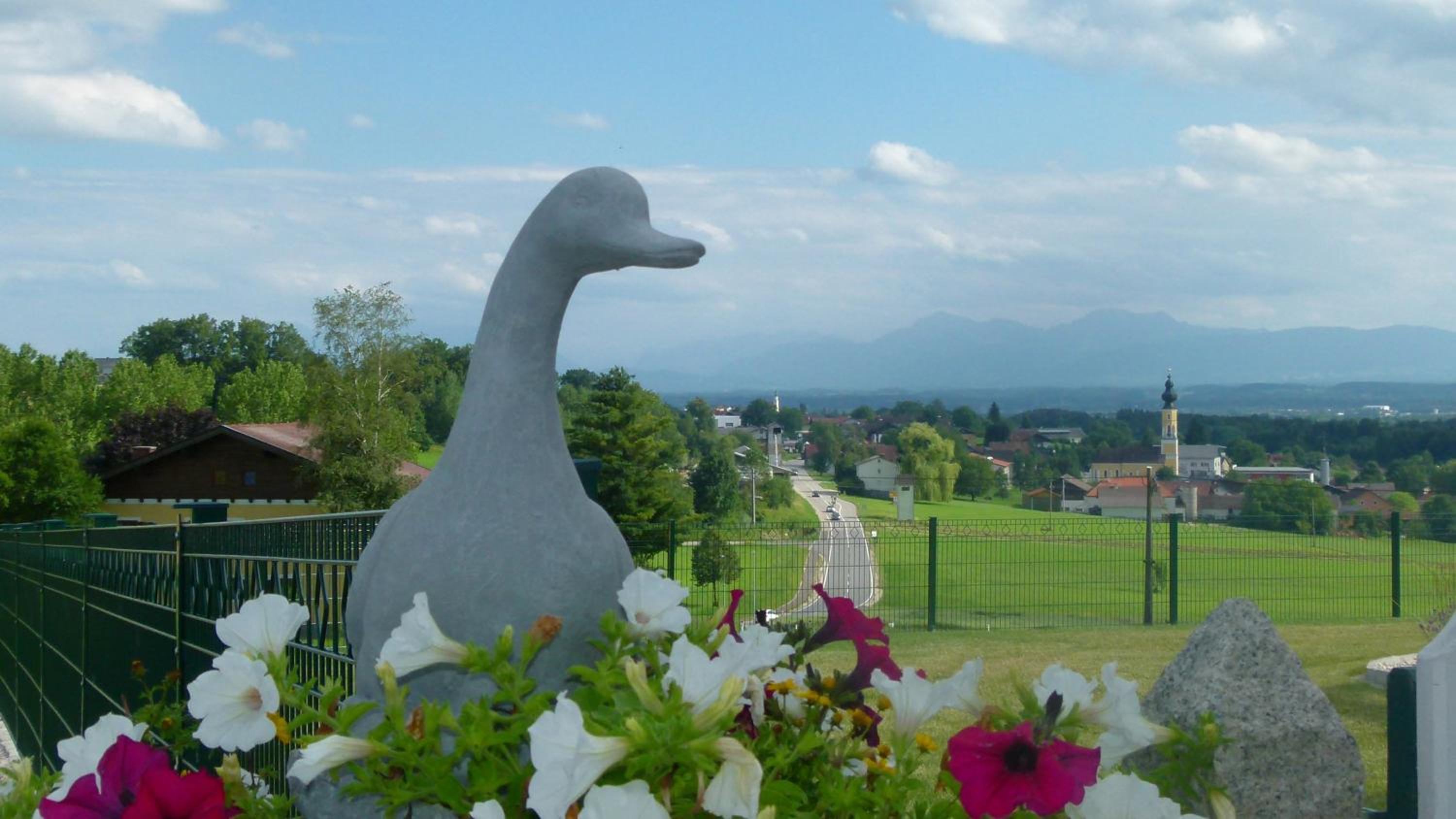Landgasthof Entenwirt Tarsdorf view 5