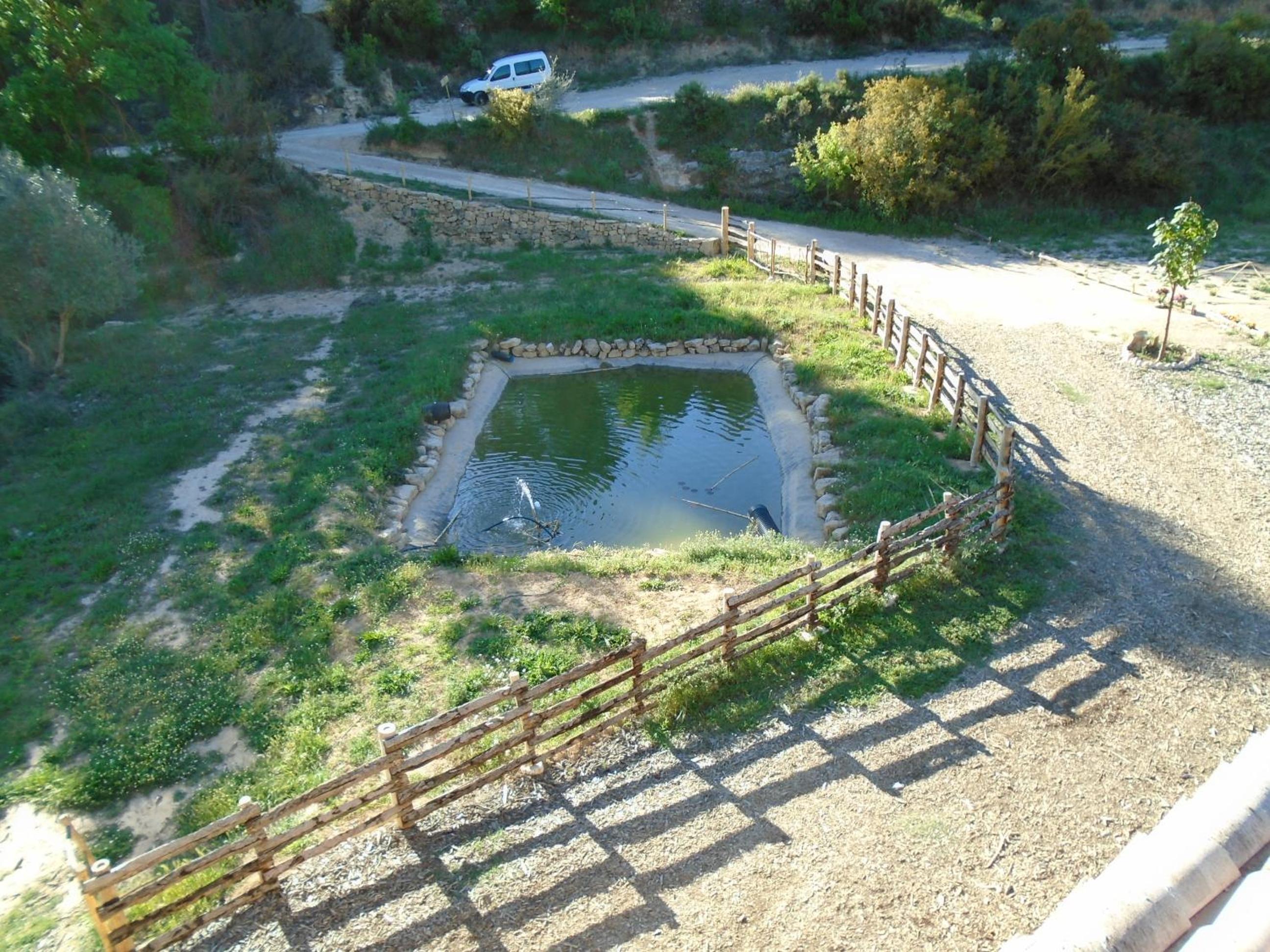 Photo 7