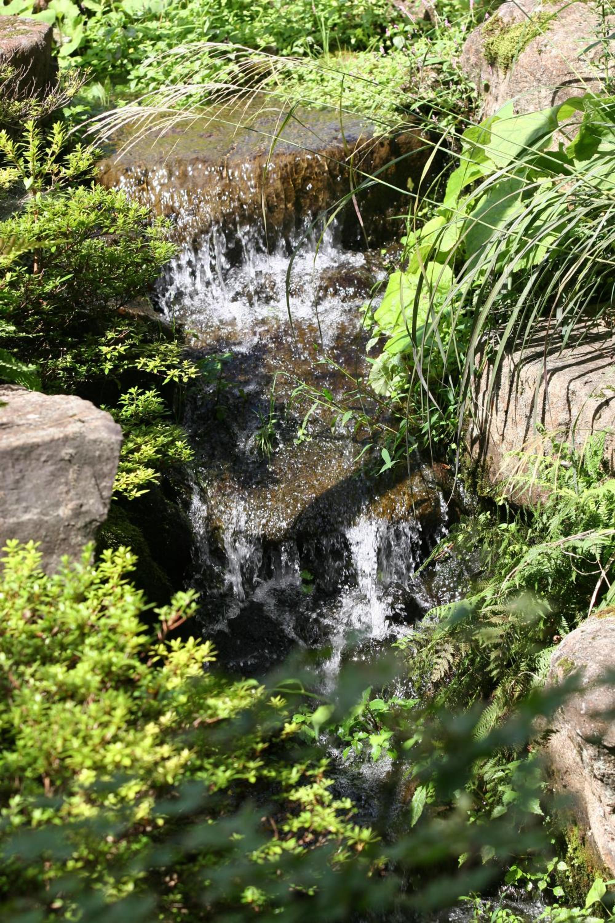 Nakamurakan