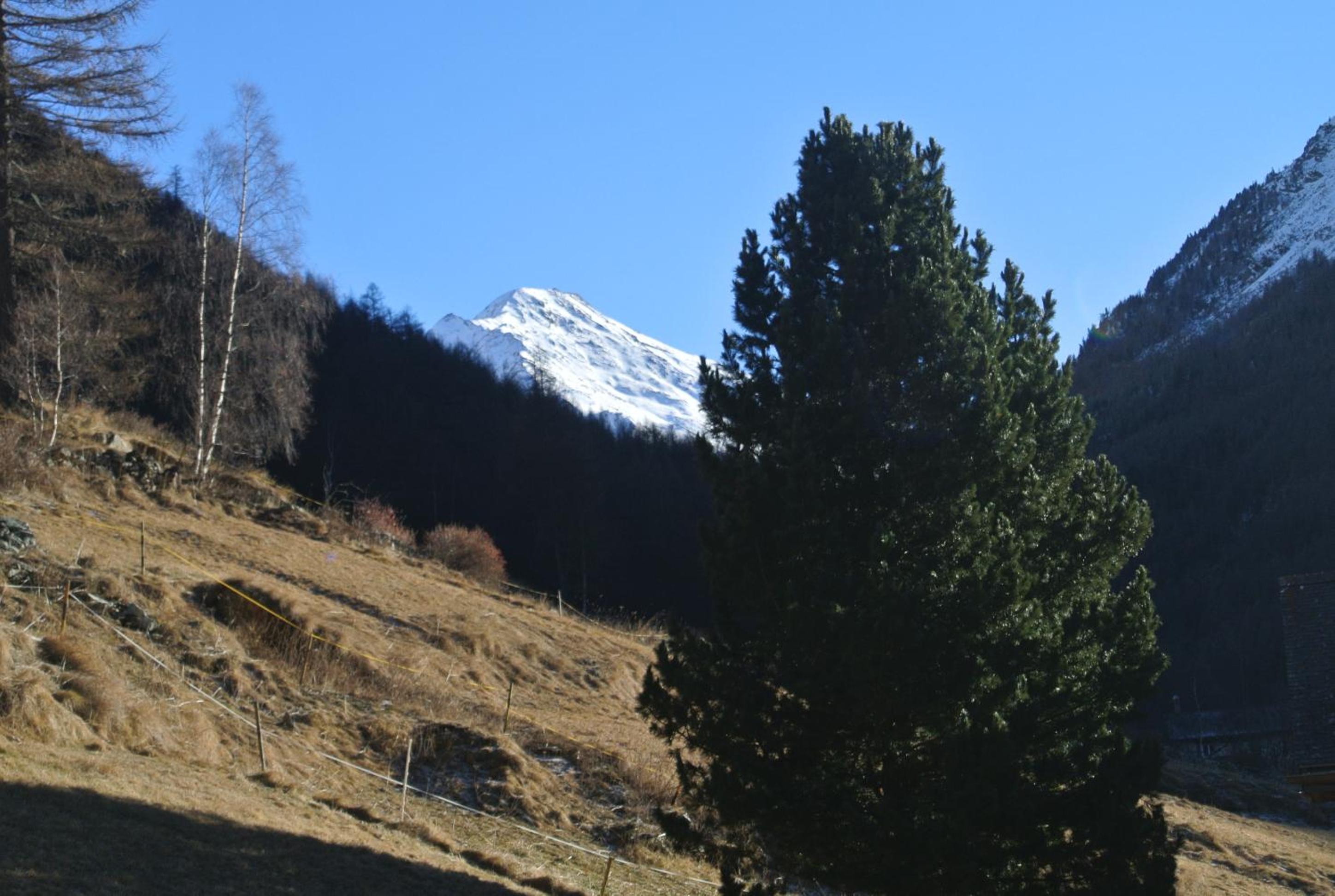 Chalet Christitia