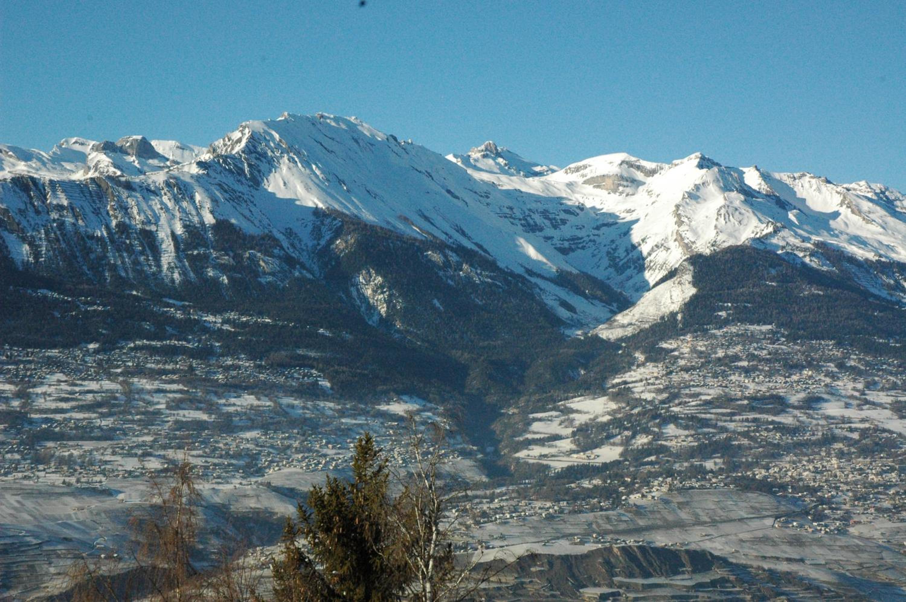 Photo 44