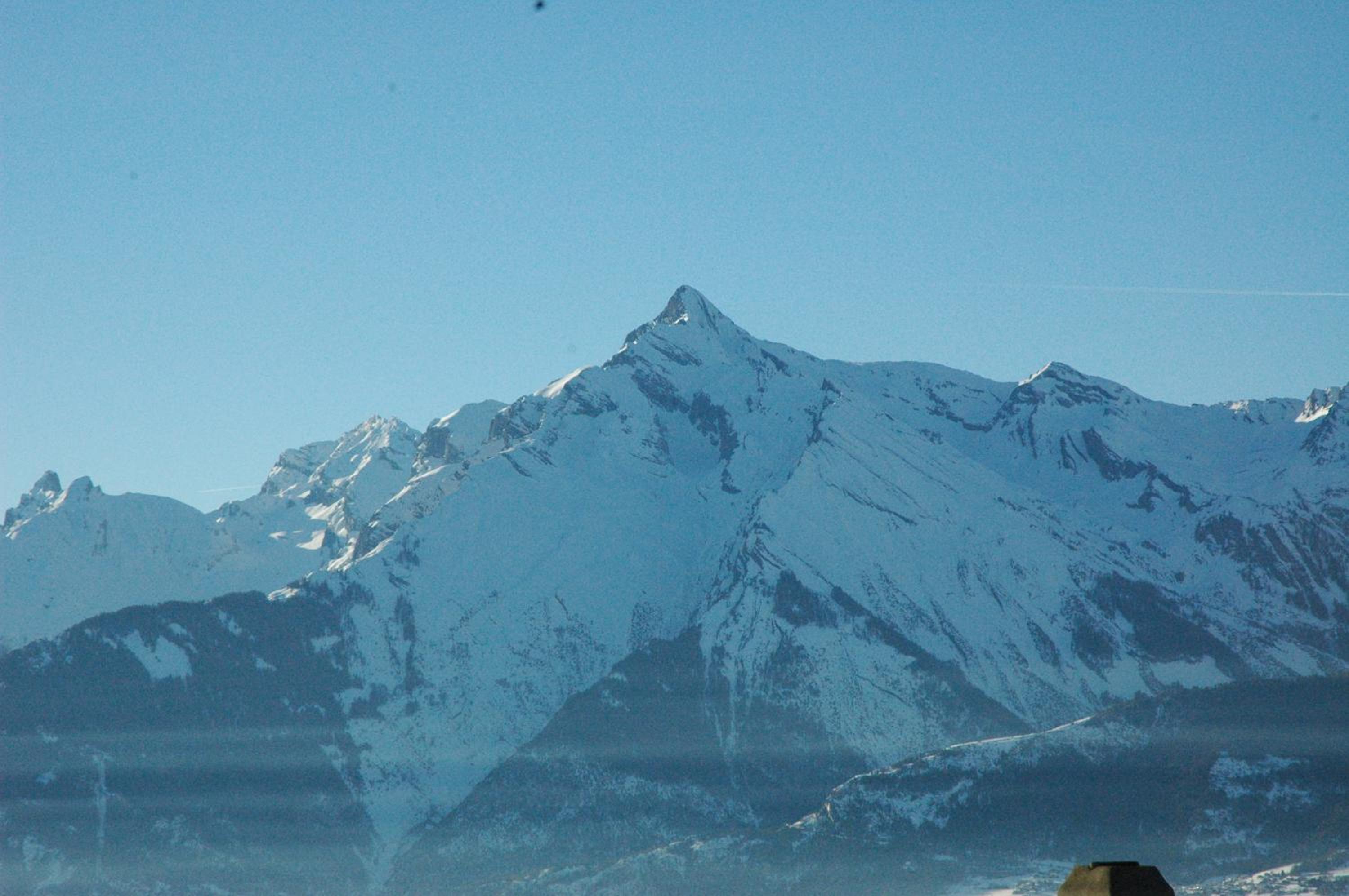 Photo 42