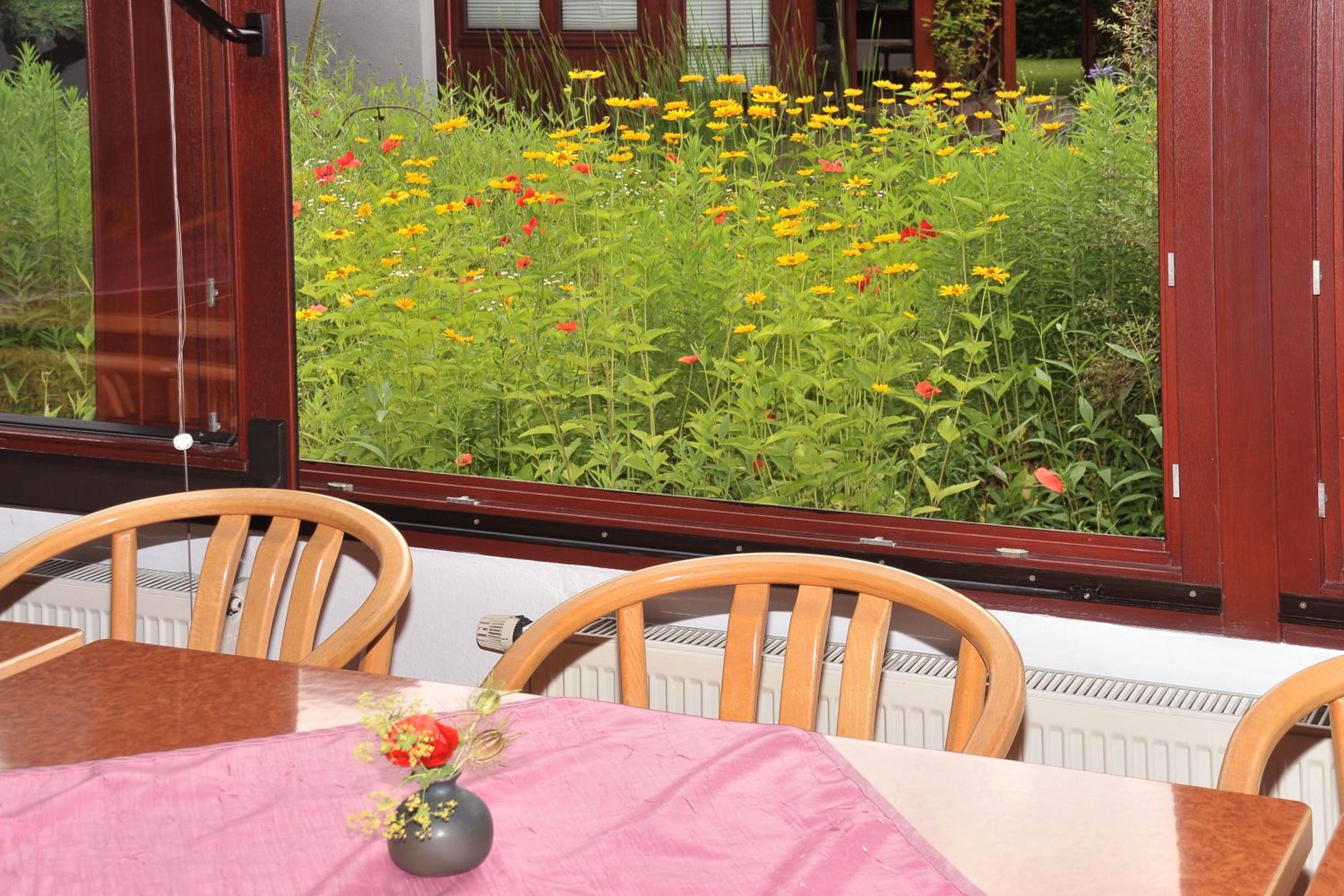 Pension Willischza