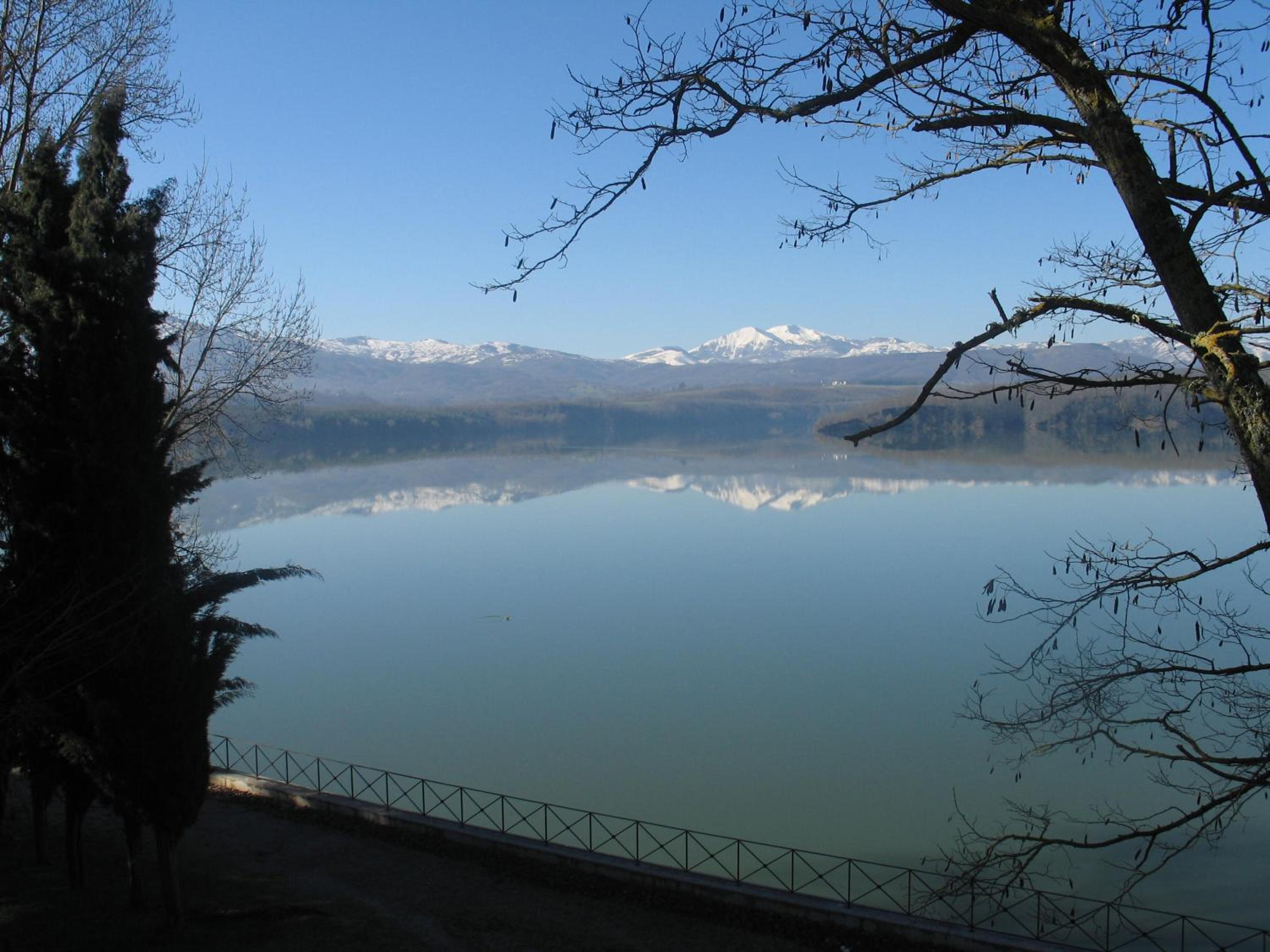 Azienda Agricola Il Querceto