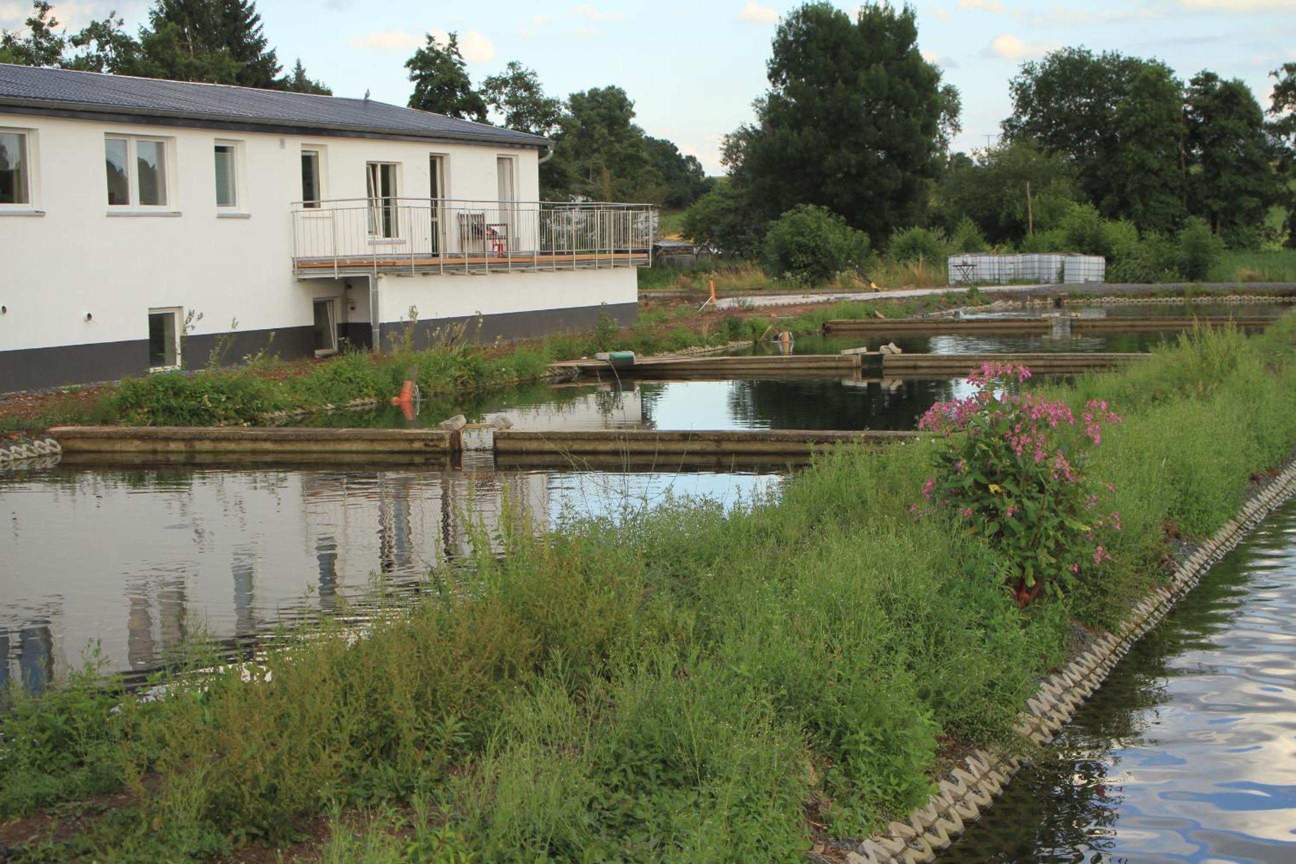 Ruhige Ferienwohnungen mit Teichblick view 2