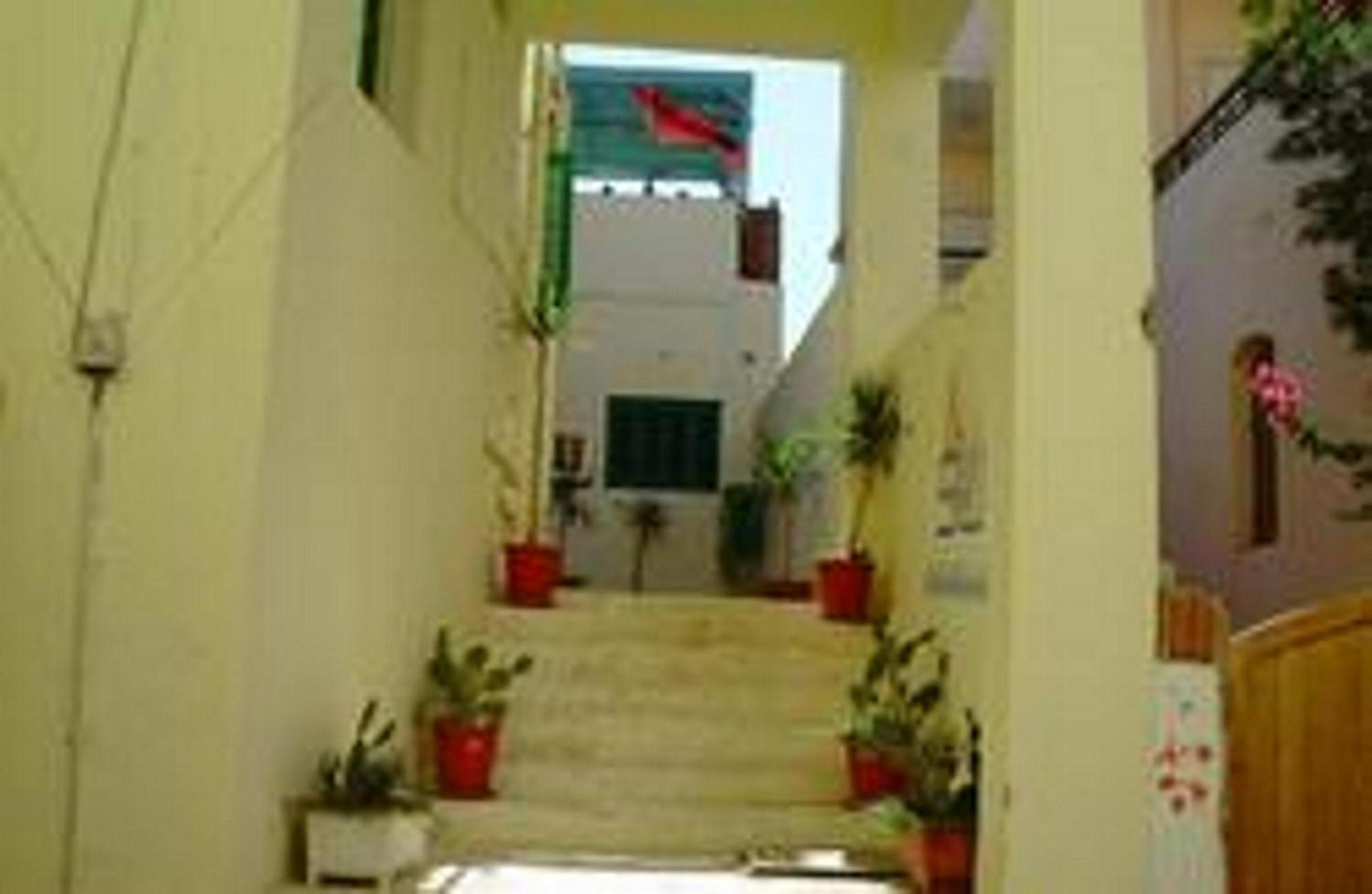 Photo 51