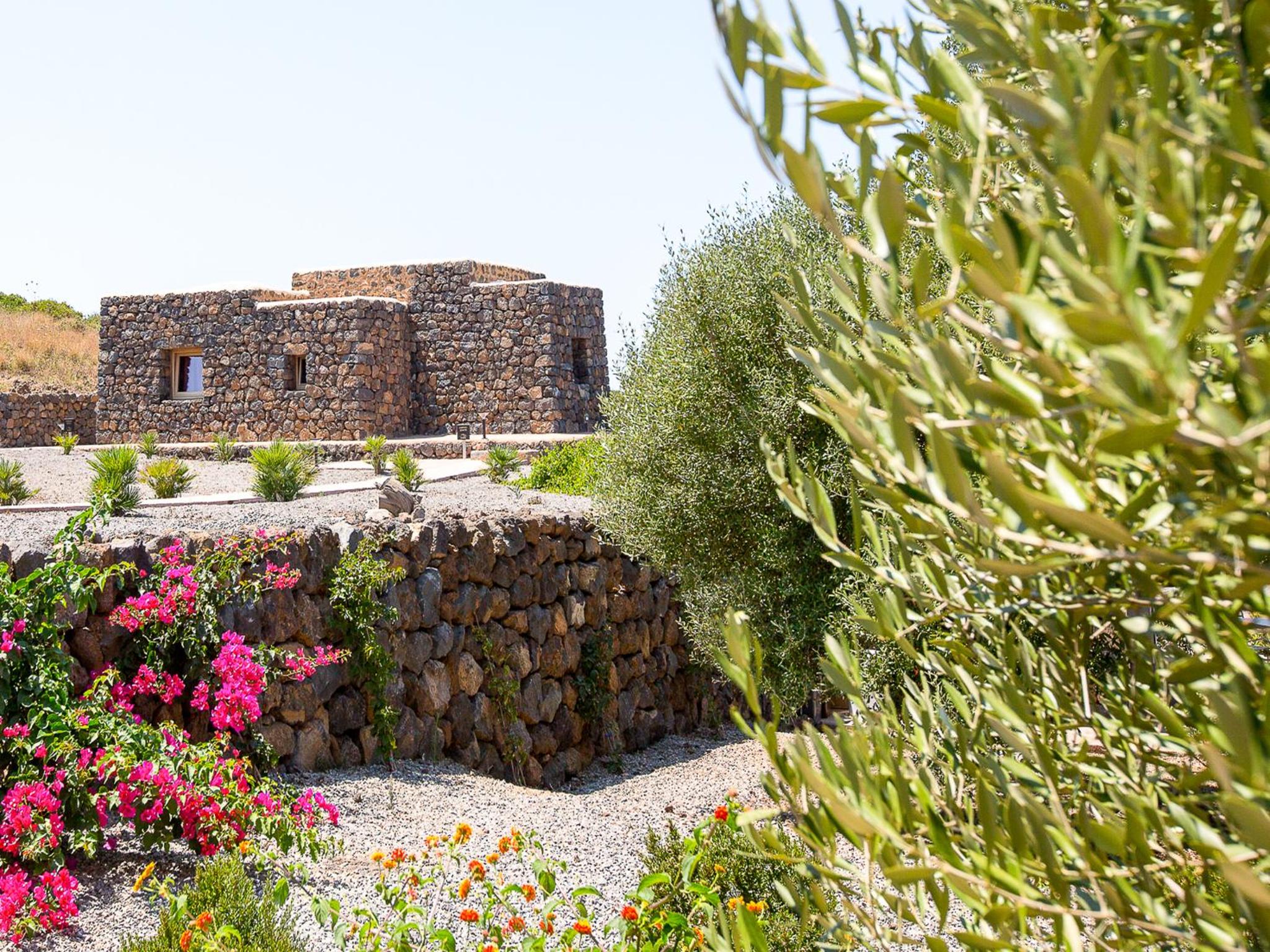 Dammusi Al-Qubba Wellness & Resort