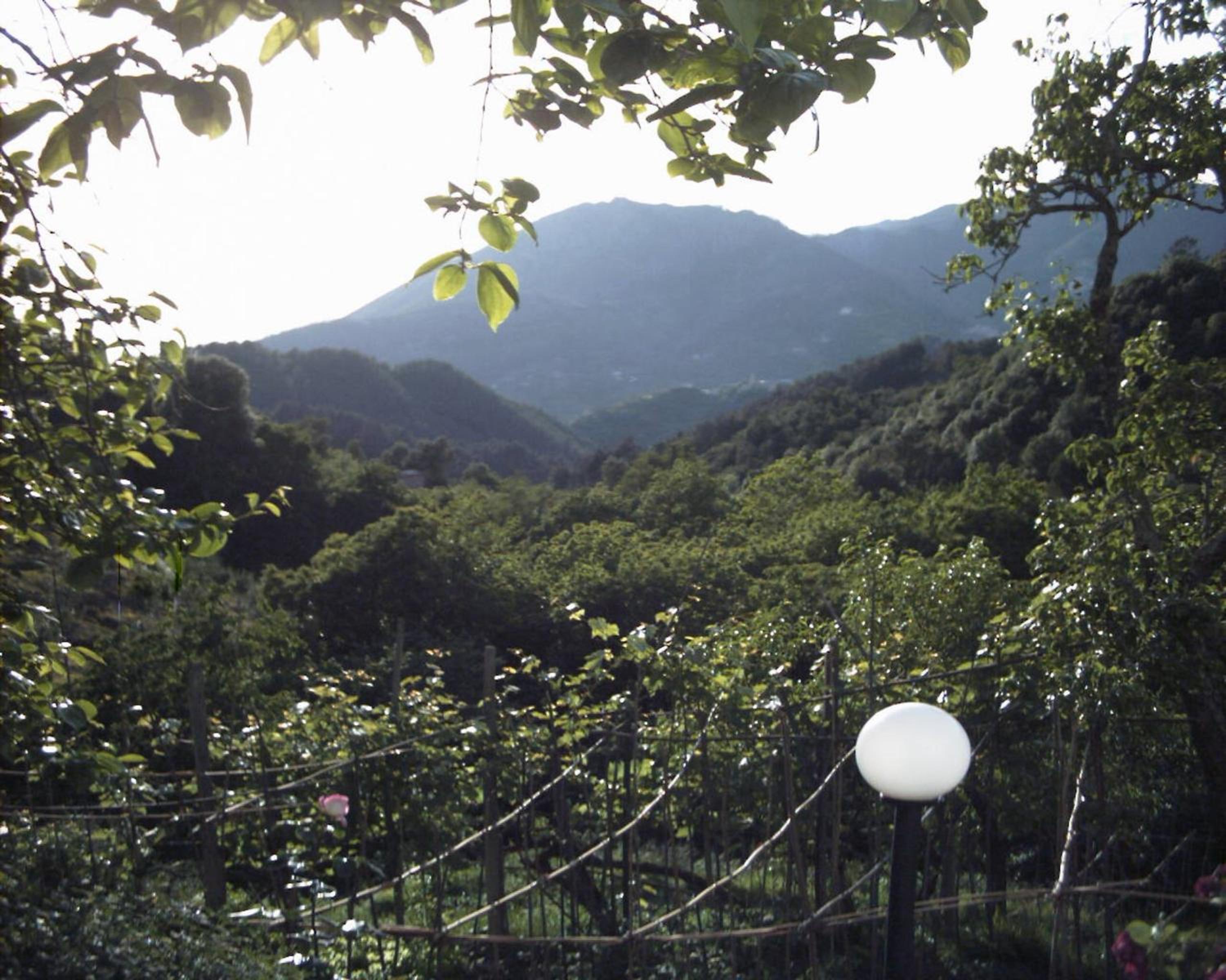 Dolcevia view 5