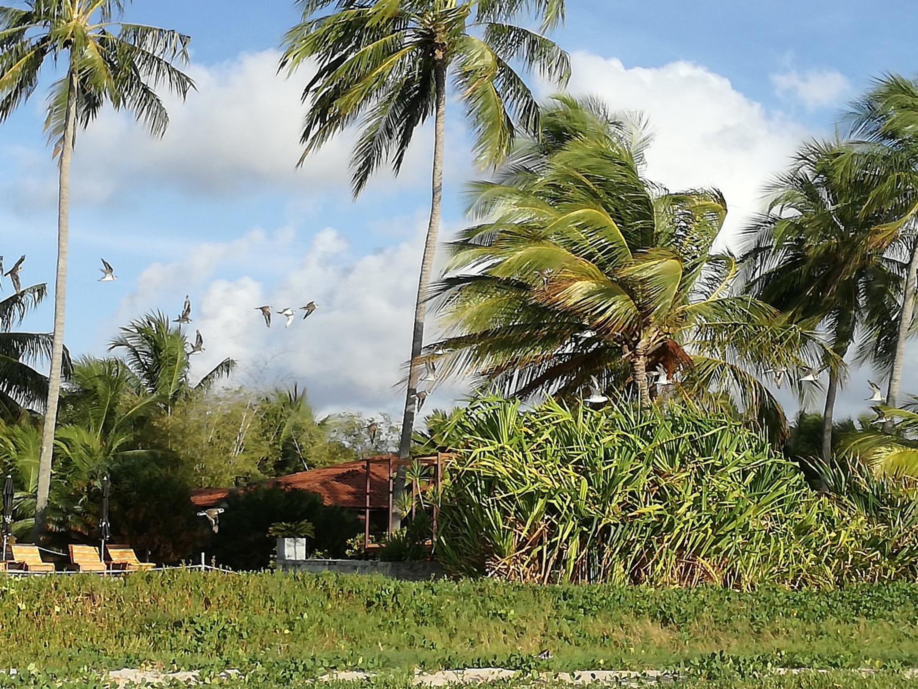 Villa Côté Sud Pousada De Charme - Pé na Areia