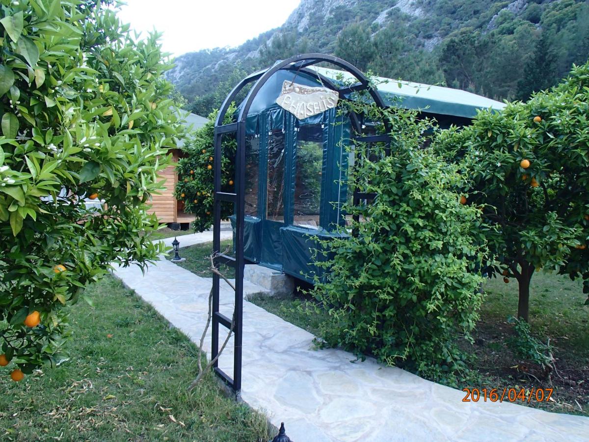Photo 54