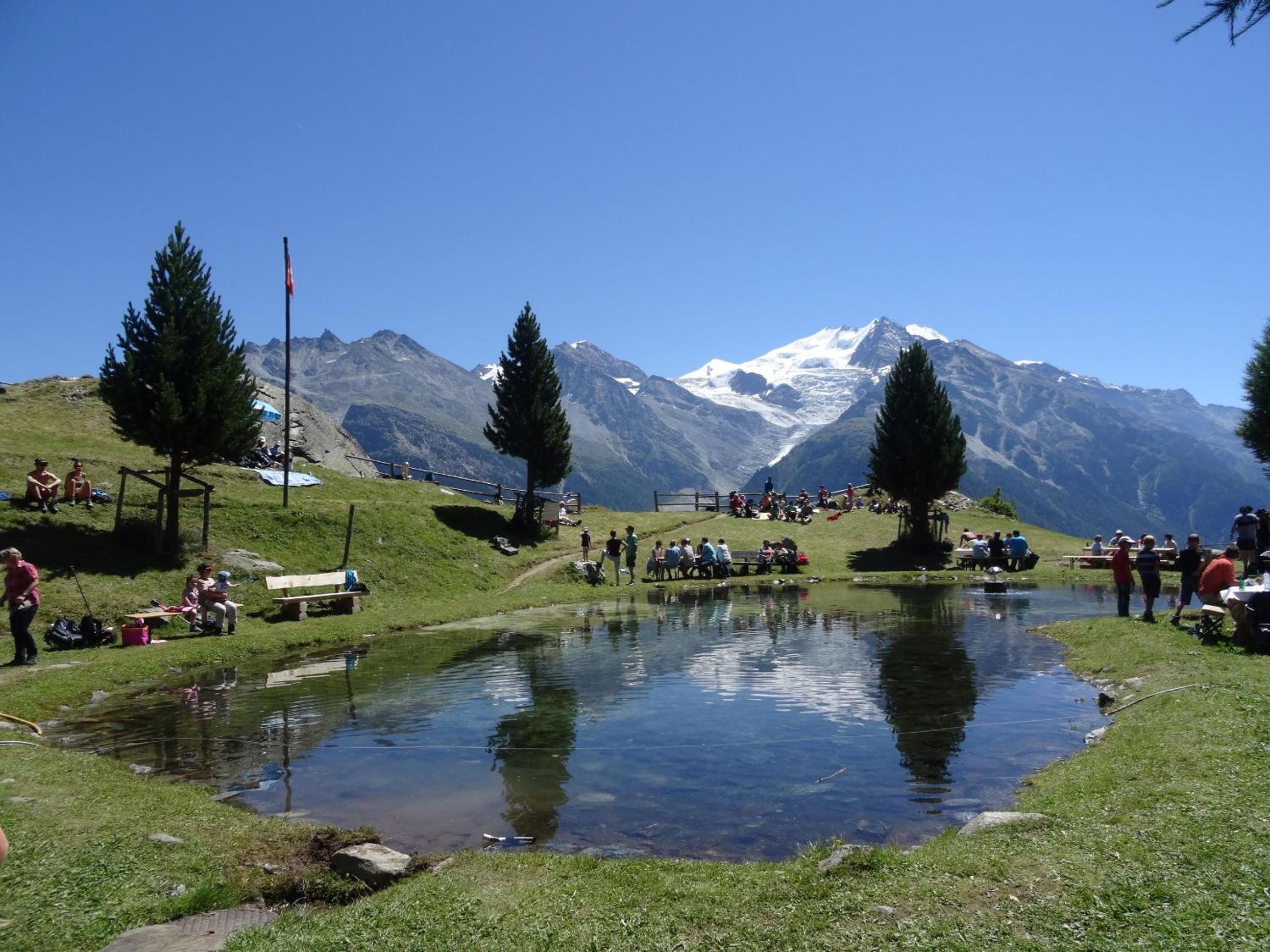 Photo 46