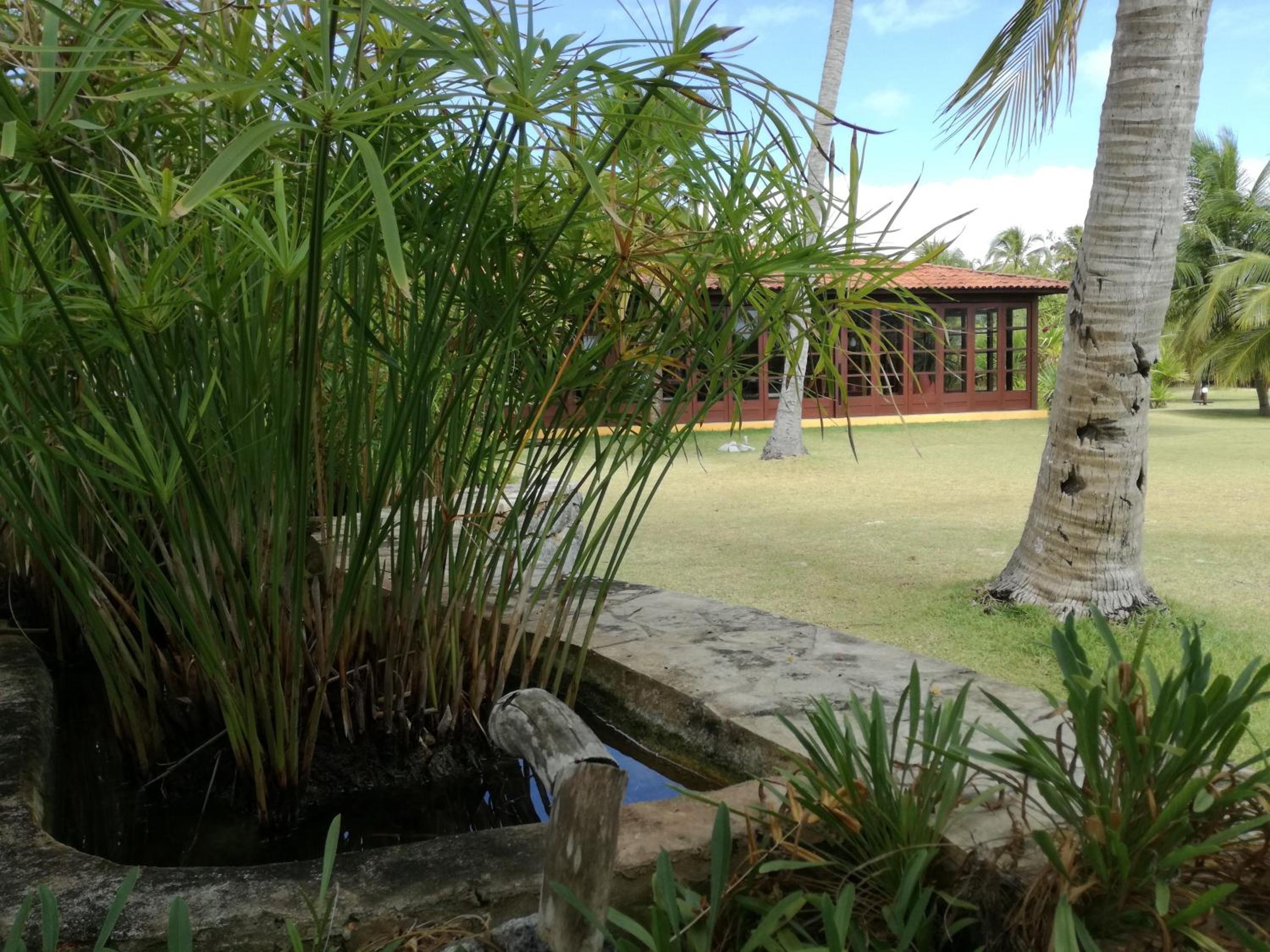 Villa Côté Sud Pousada De Charme - Pé na Areia