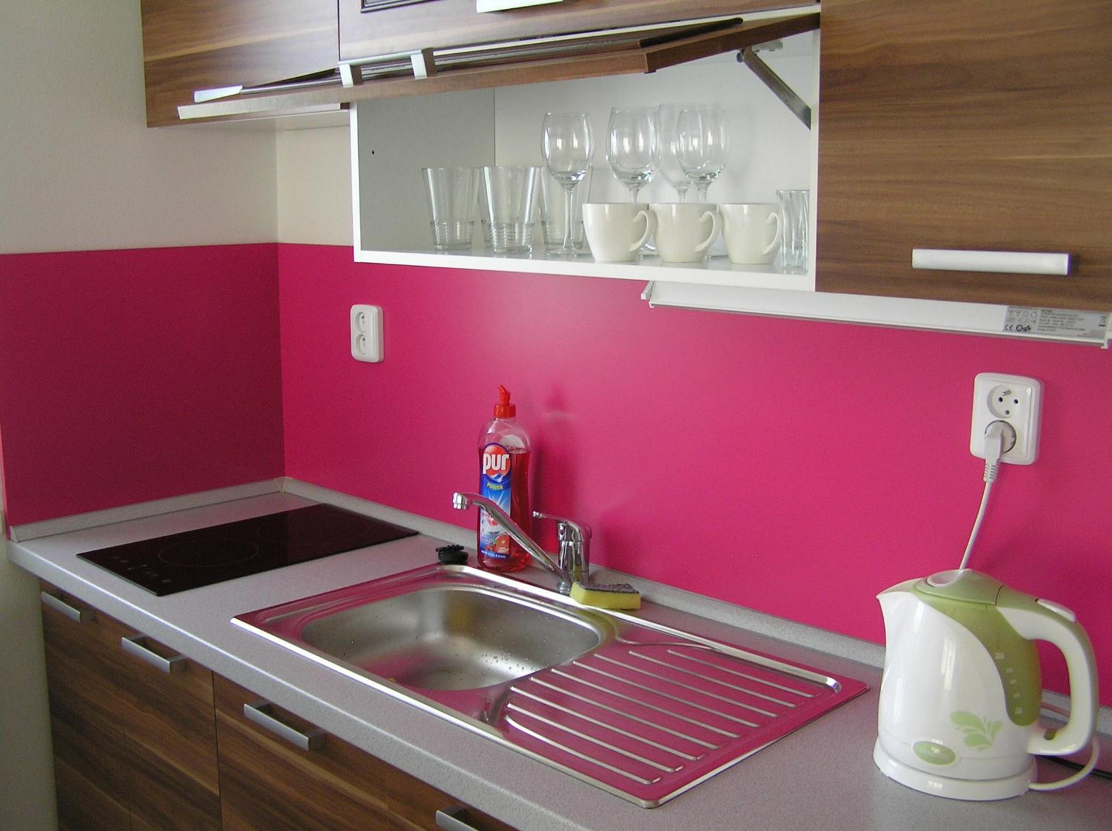 Apartment Třeboň