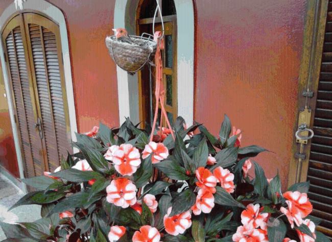 Photo 64