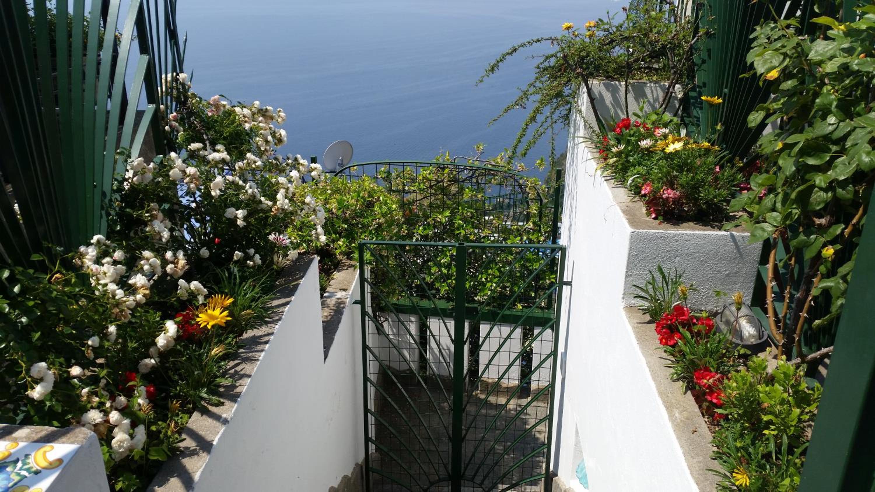 Le Cicale - Apartments view 2