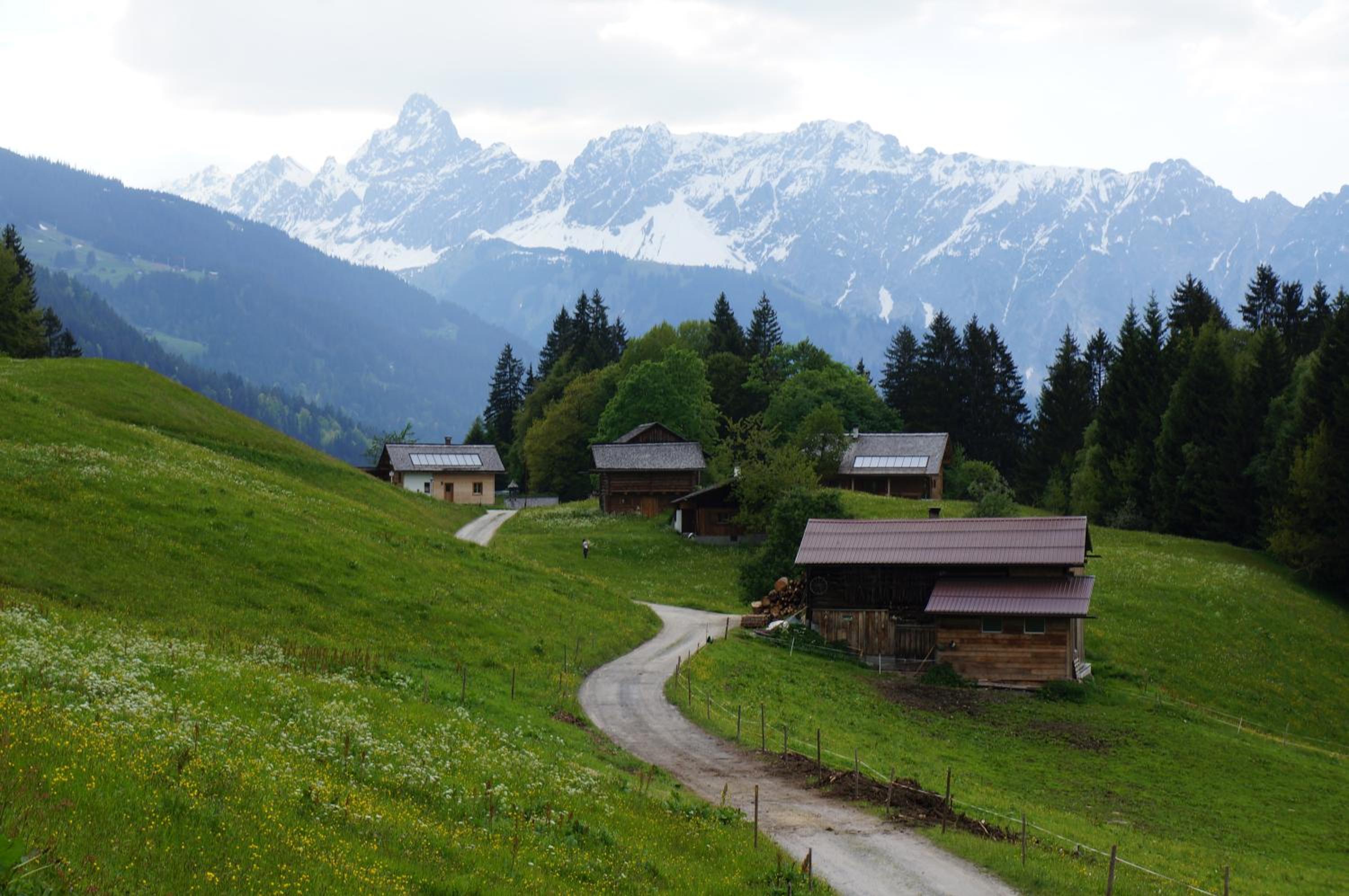 Maisäß Lifinarblick
