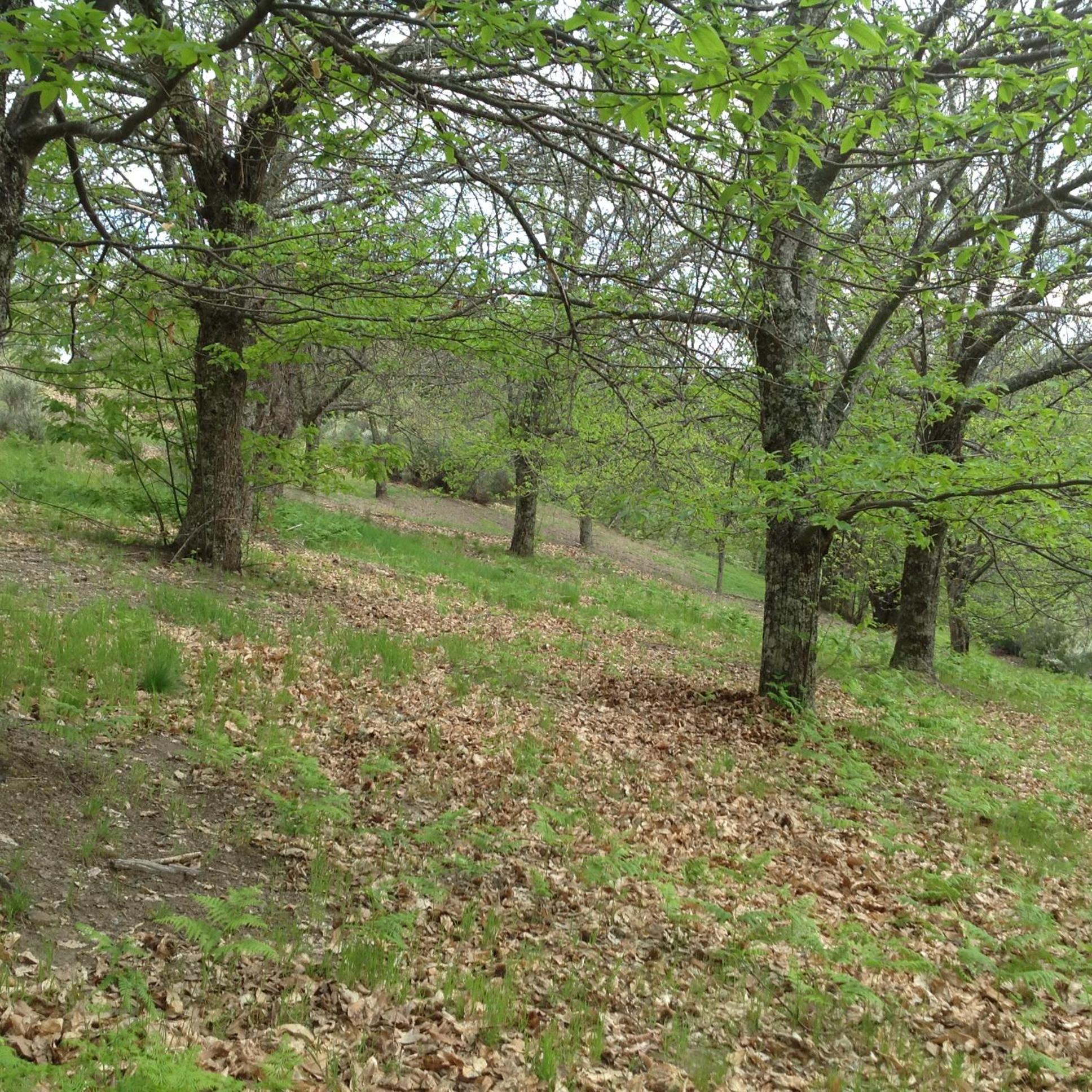 Photo 32