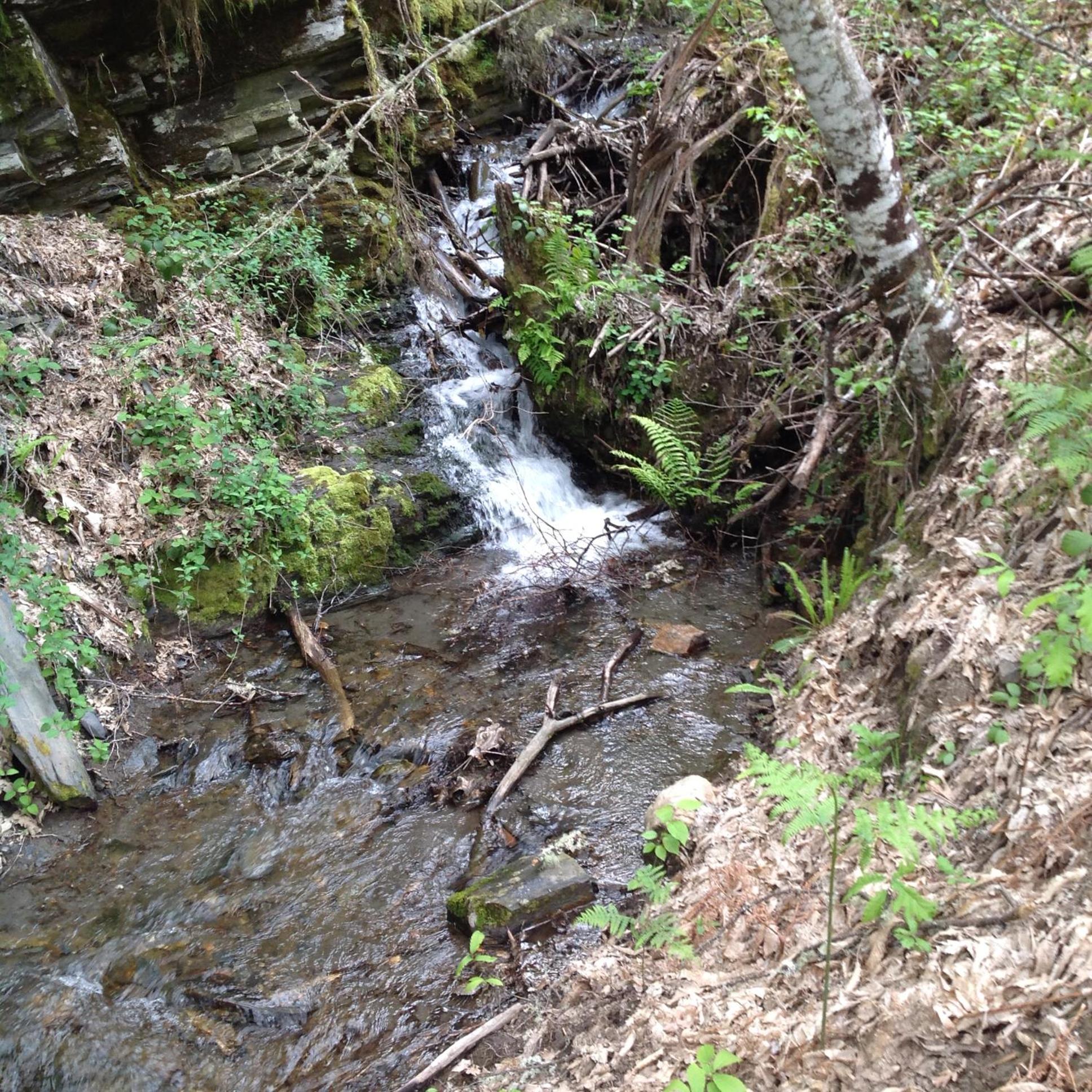 Photo 26