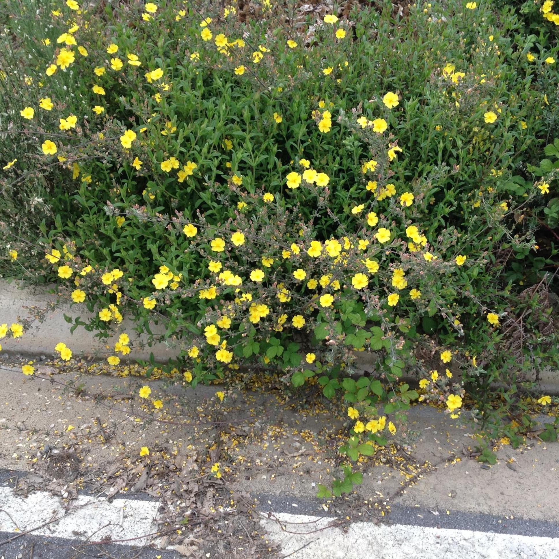Photo 27