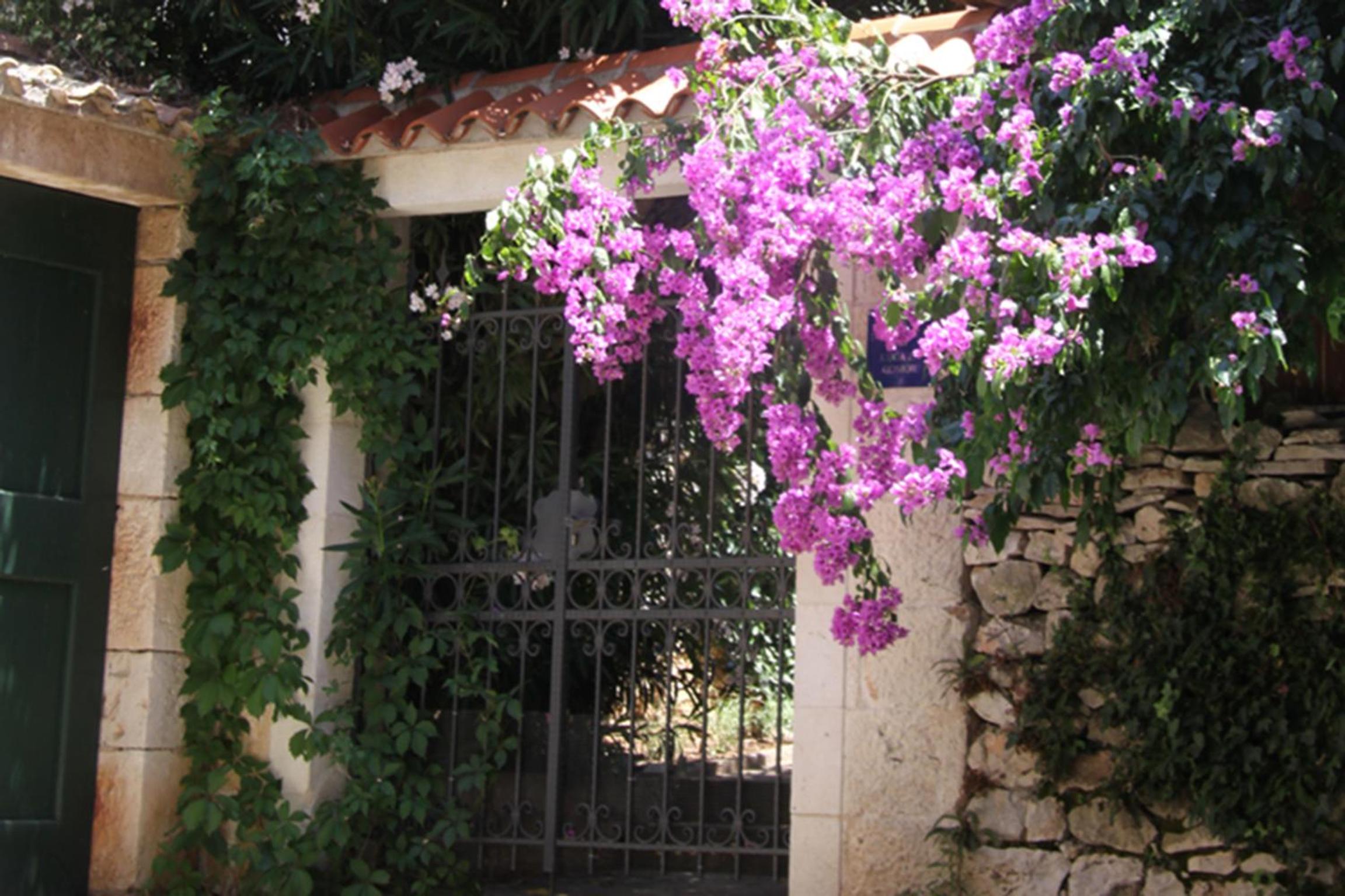 Photo 42