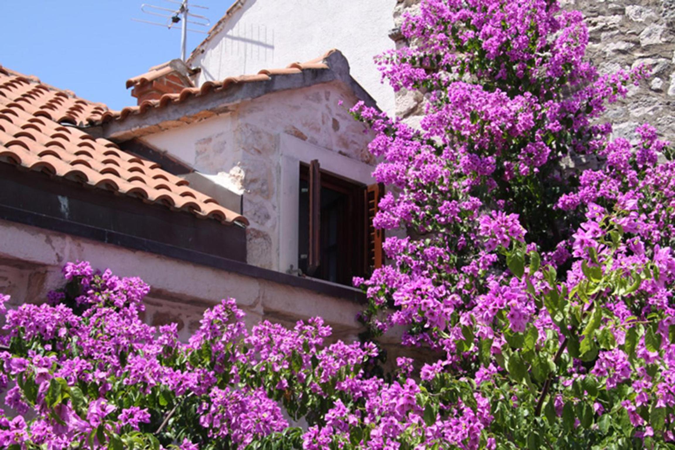 Villa Rustika