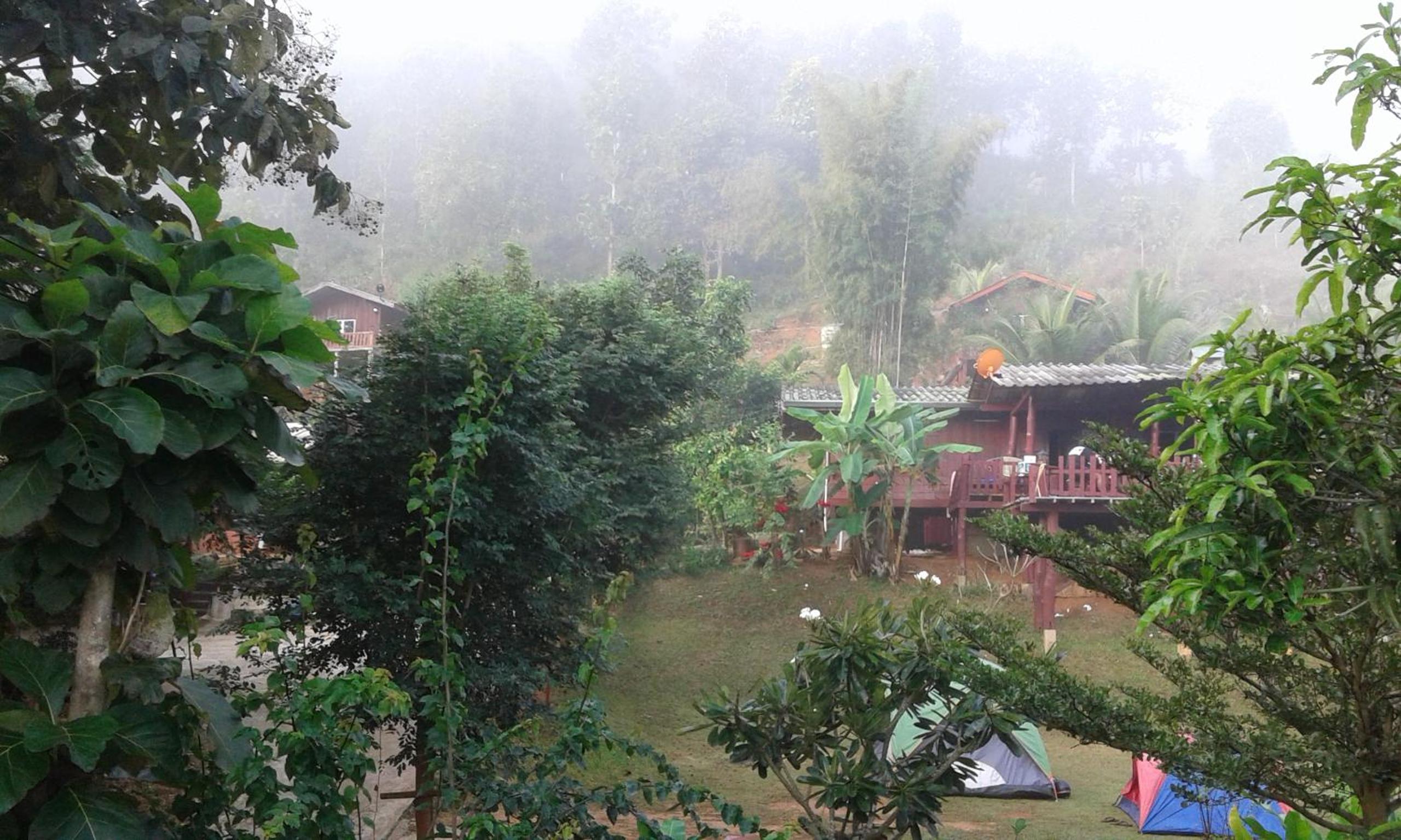 Forest Guesthouse