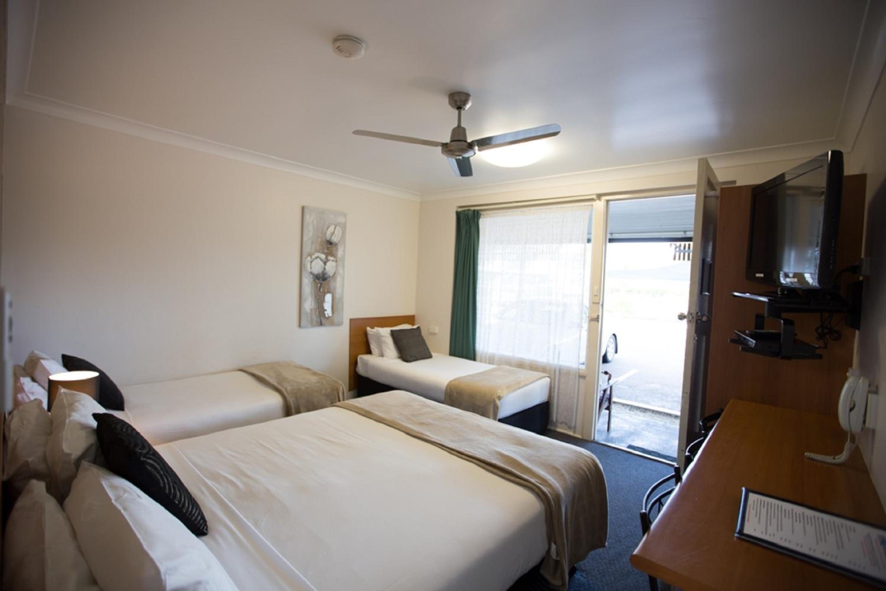 David Motor Inn