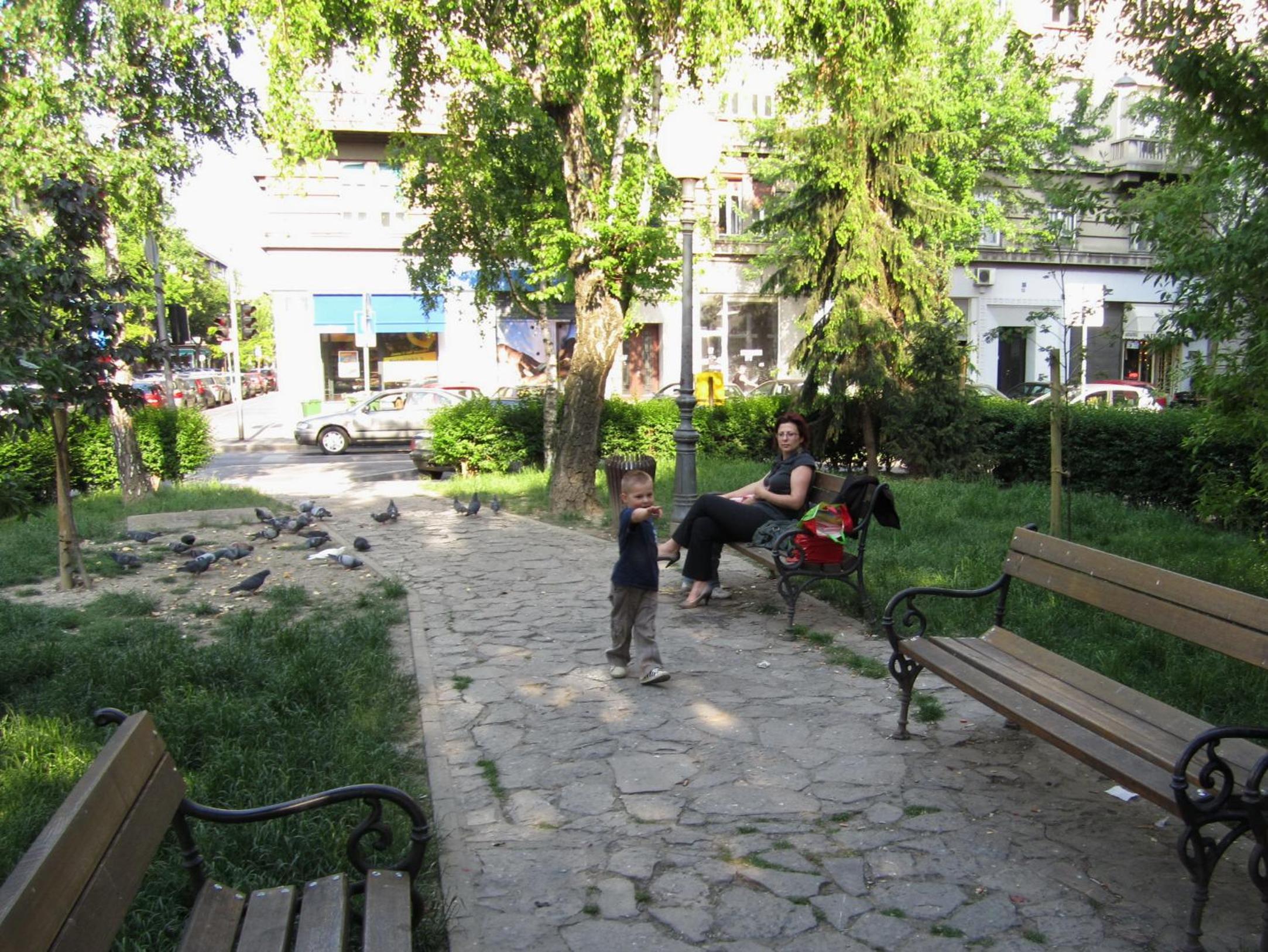 Photo 6