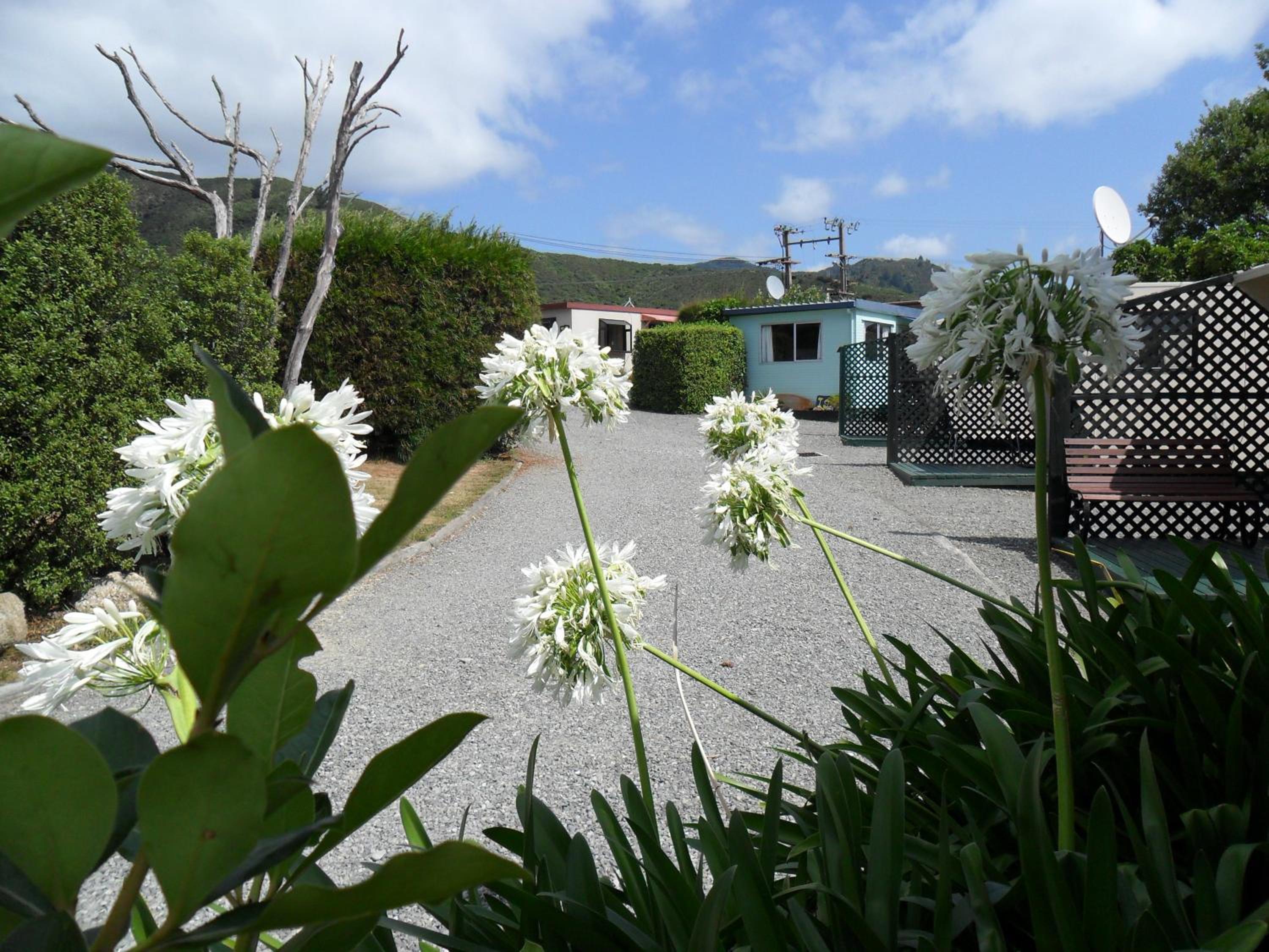Picton's Waikawa Bay Holiday Park