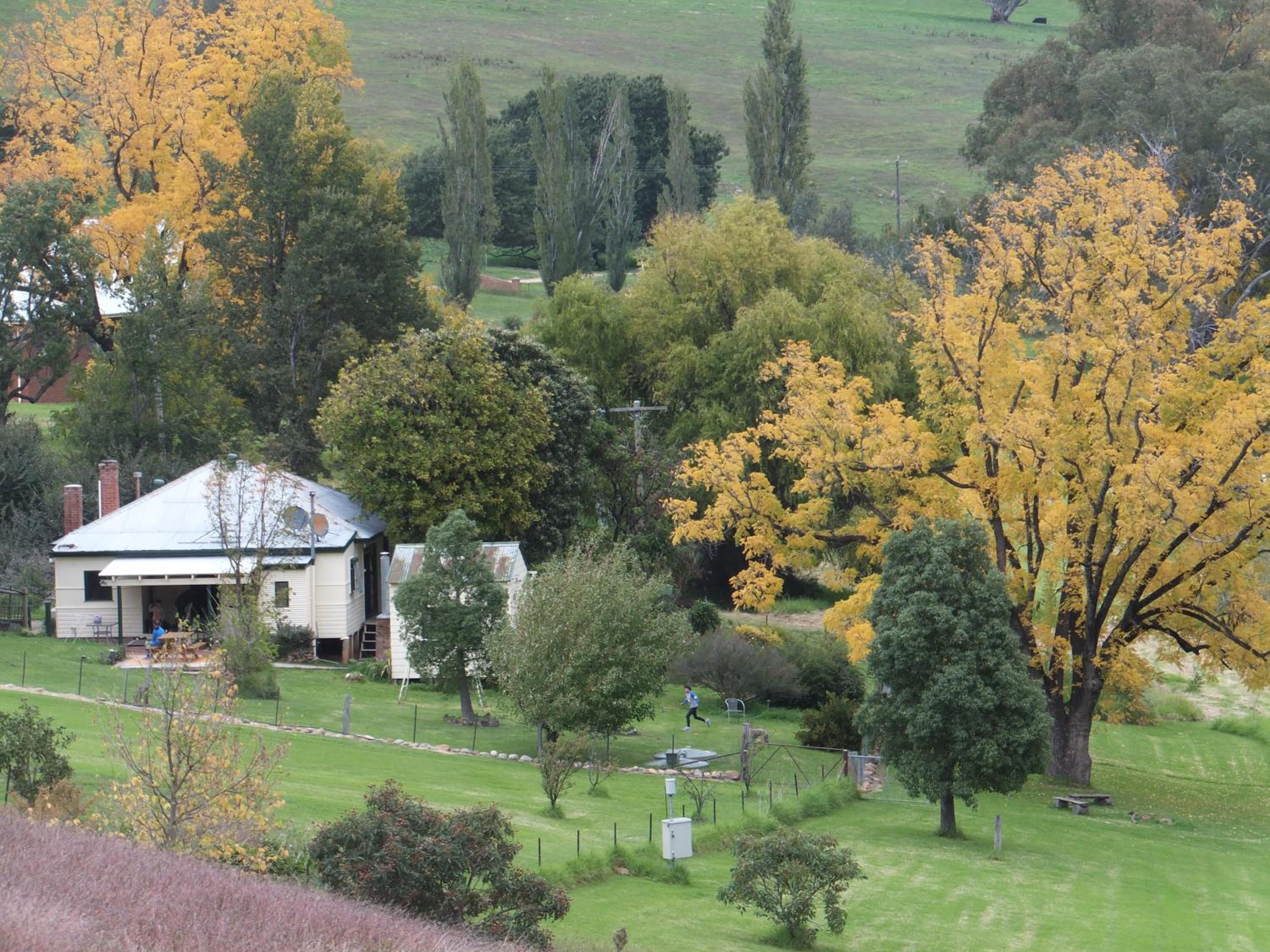 Elm Cottage Tumut