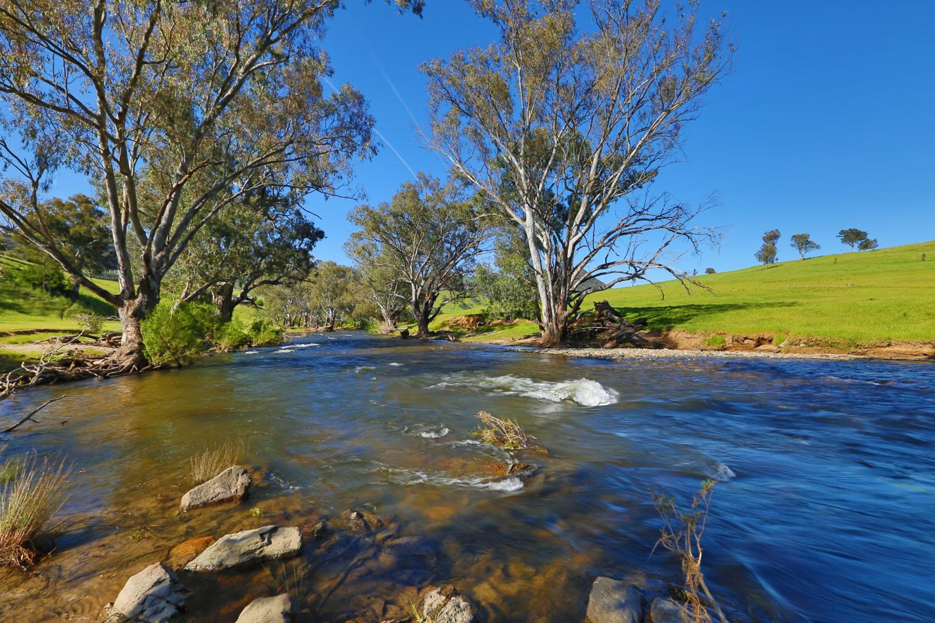 Elm Cottage Tumut