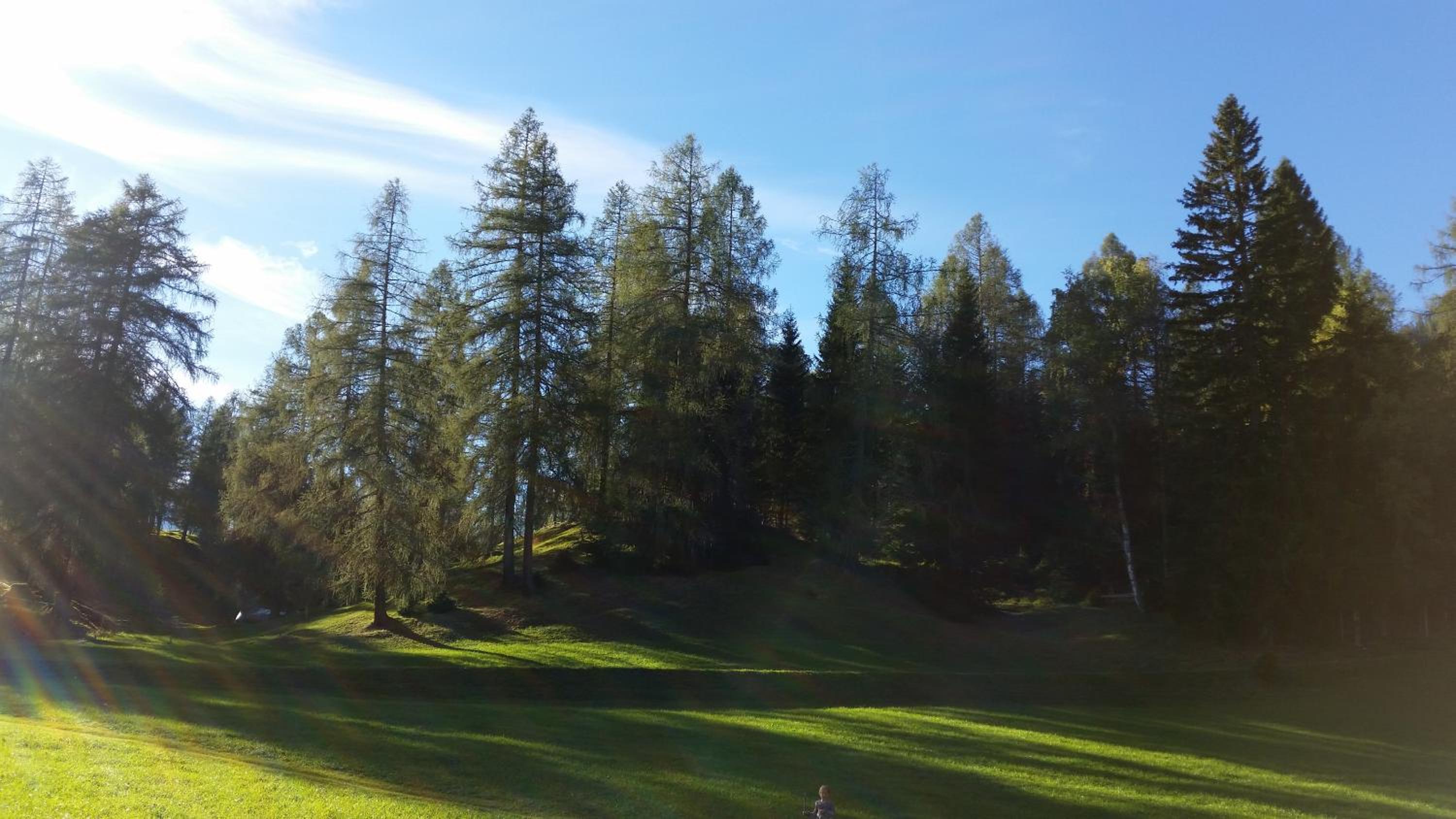 Ferienwohnungen Rauth