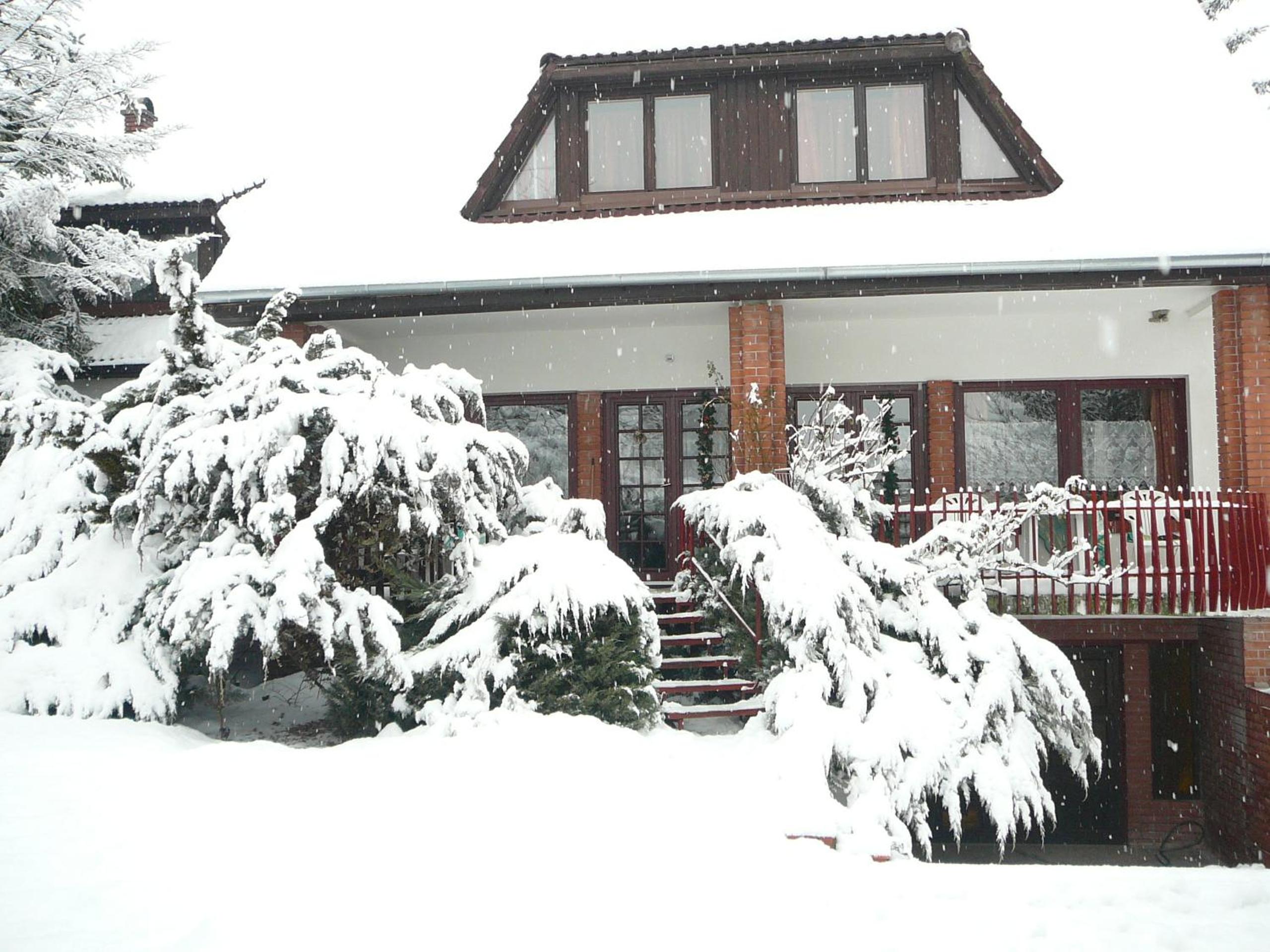 Photo 9
