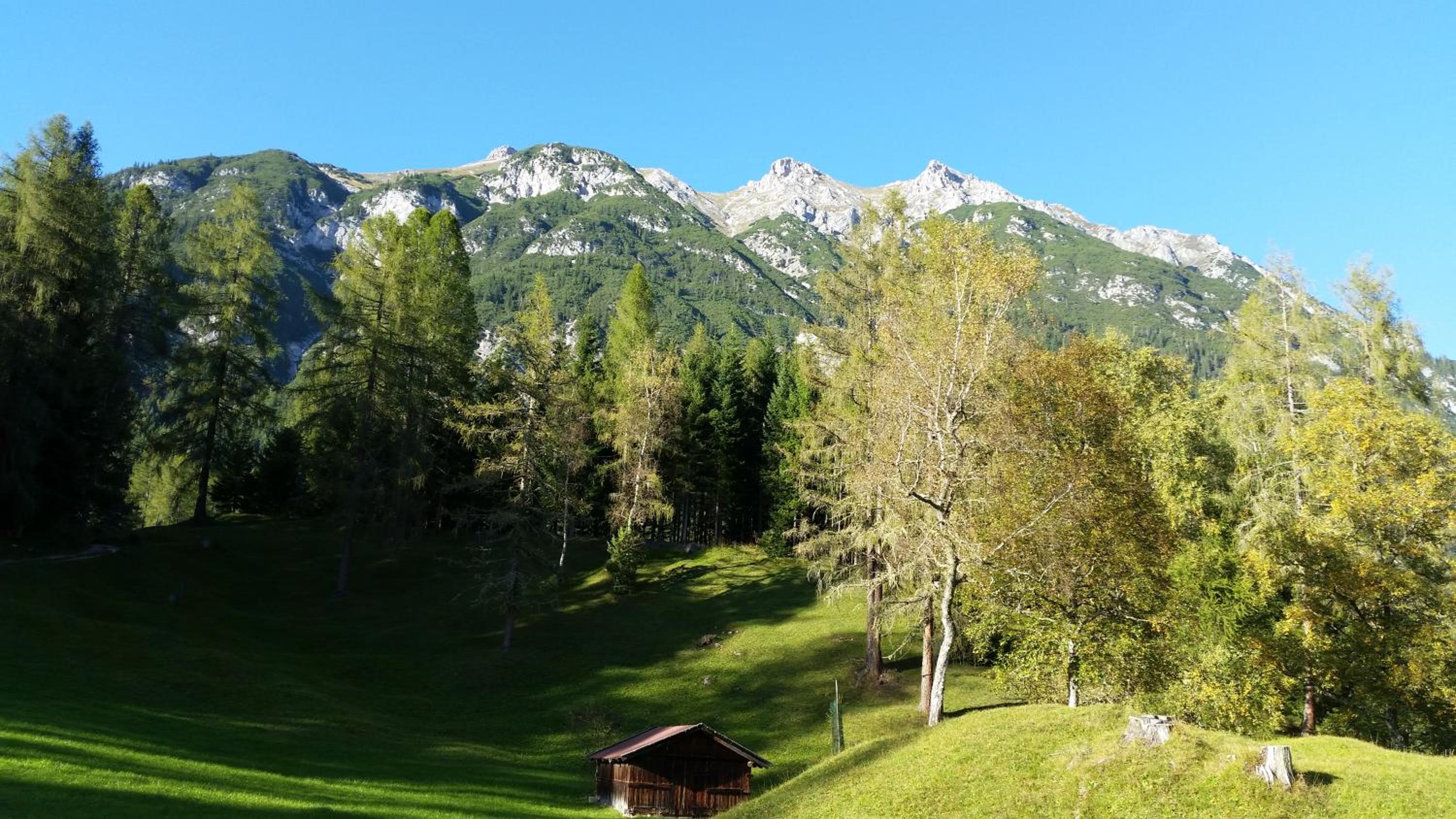 Ferienwohnungen Rauth