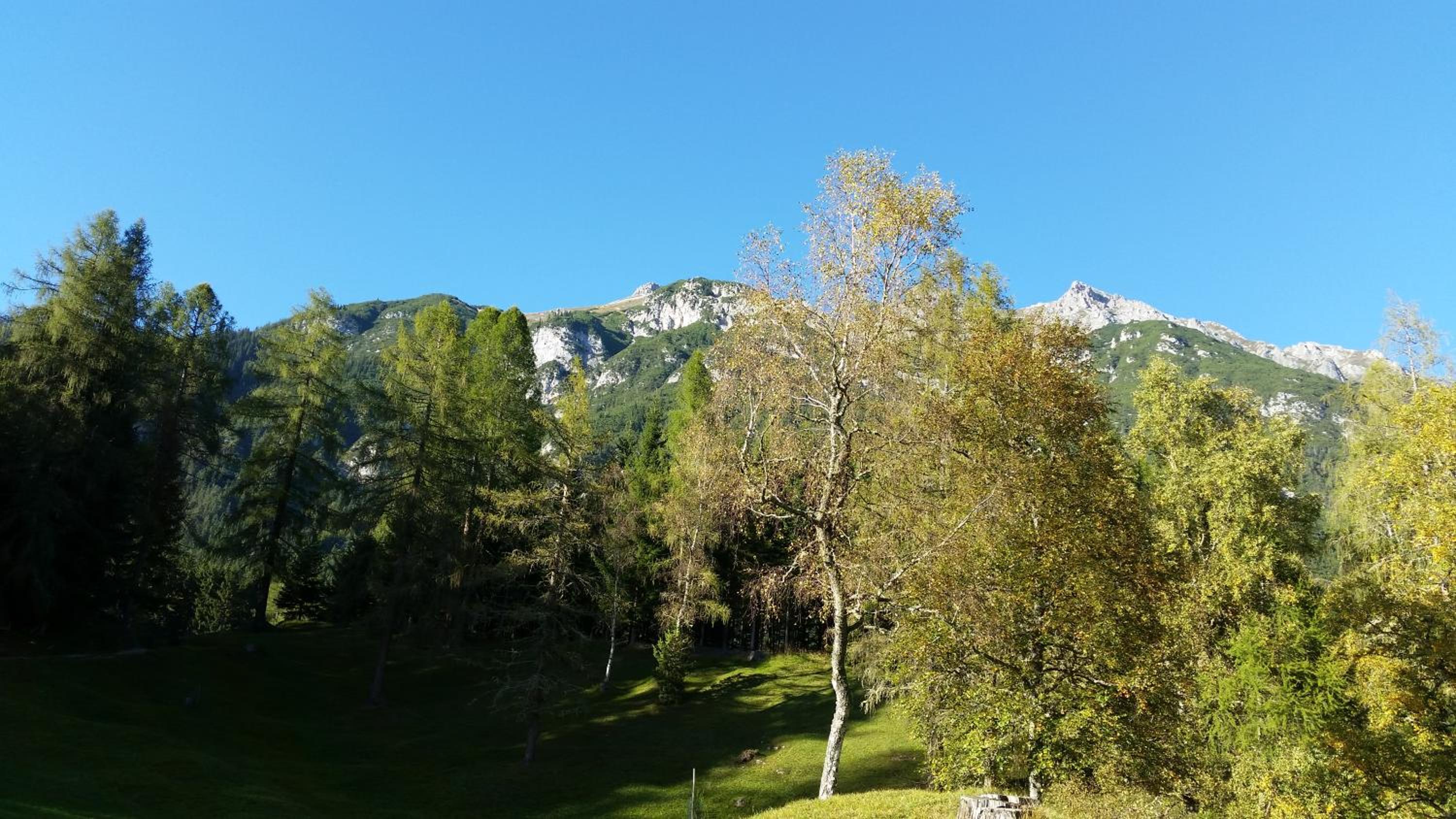 Ferienwohnungen Rauth