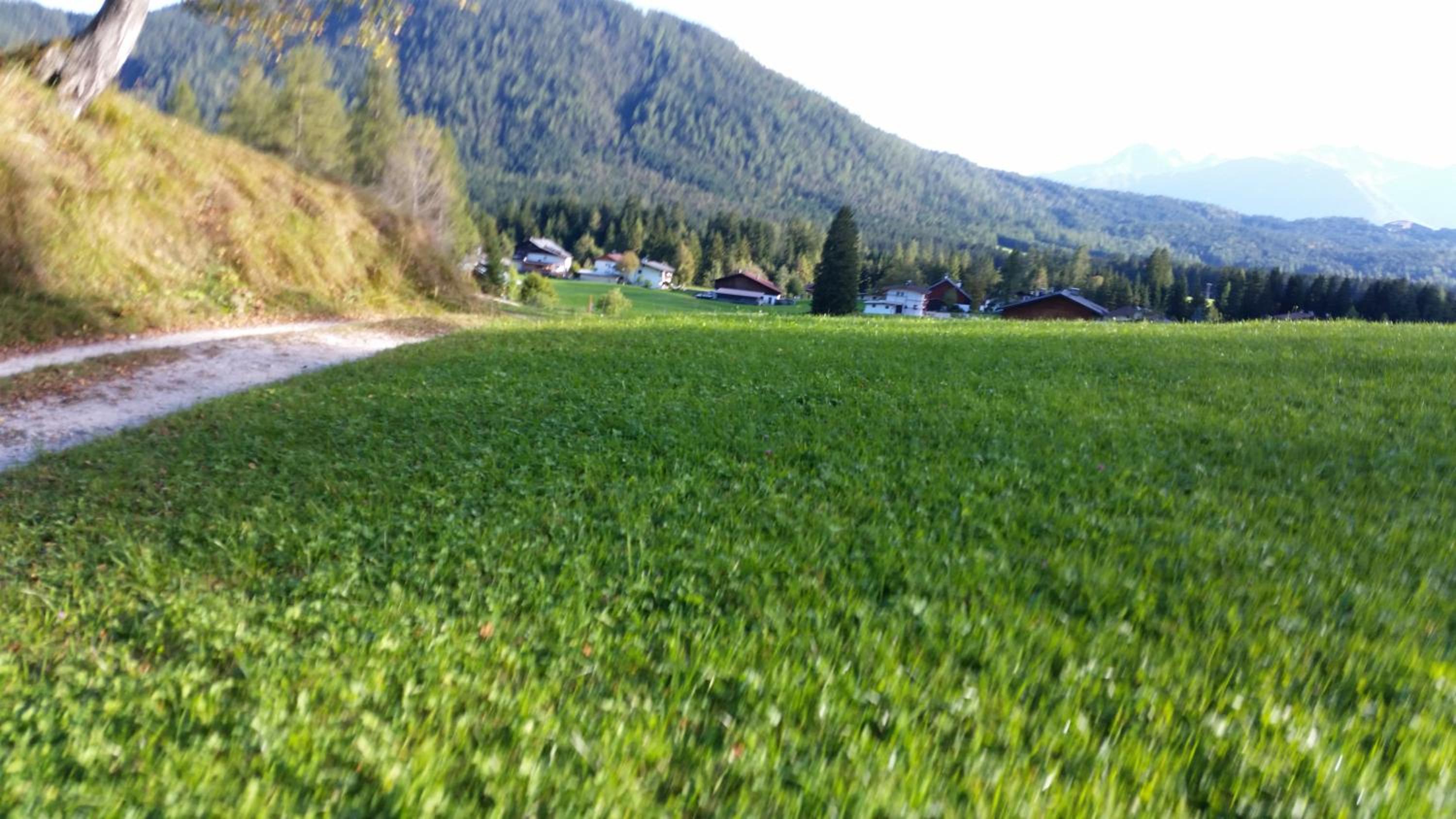 Ferienwohnungen Rauth