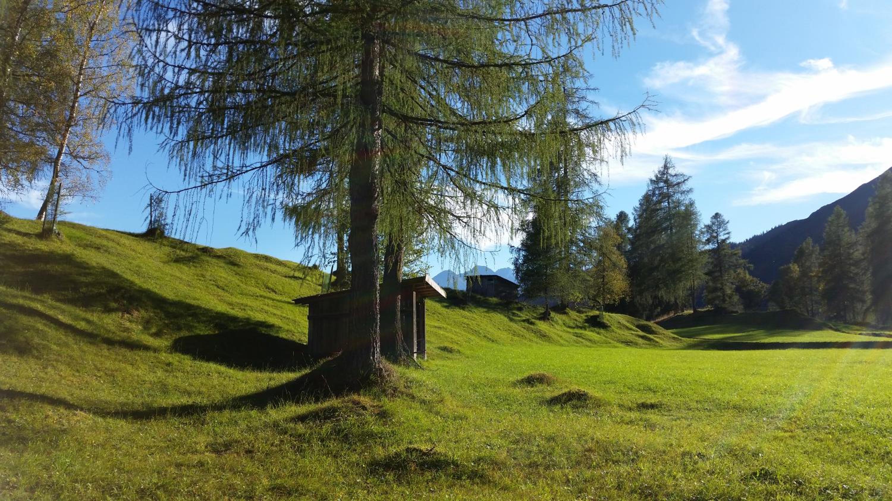 Ferienwohnungen Rauth