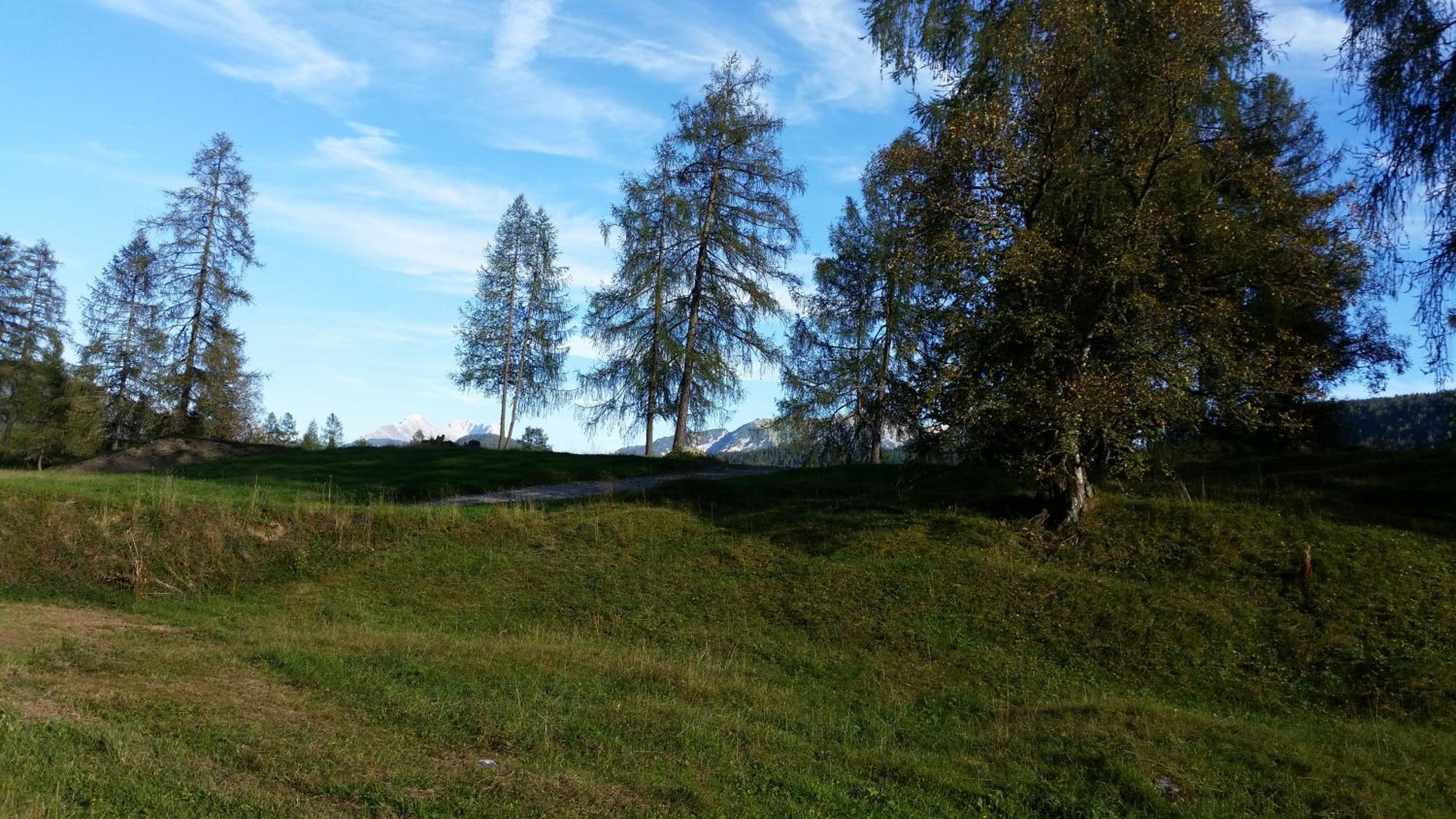Ferienwohnungen Rauth