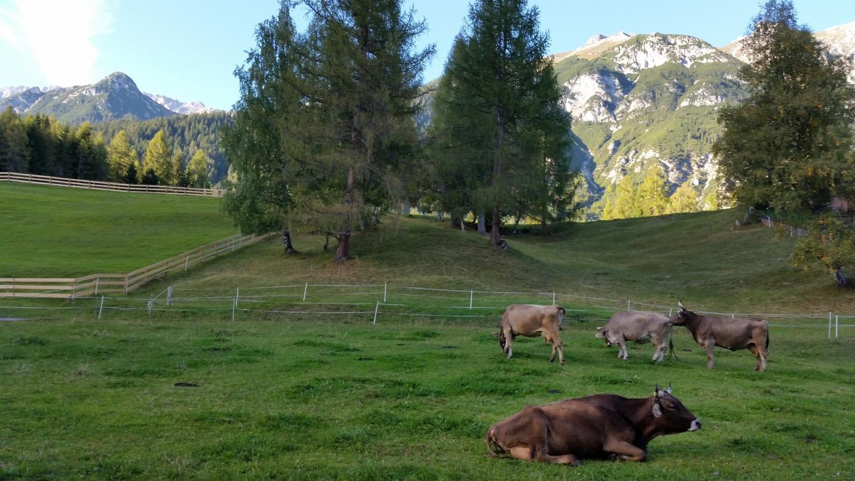 Ferienwohnungen Rauth