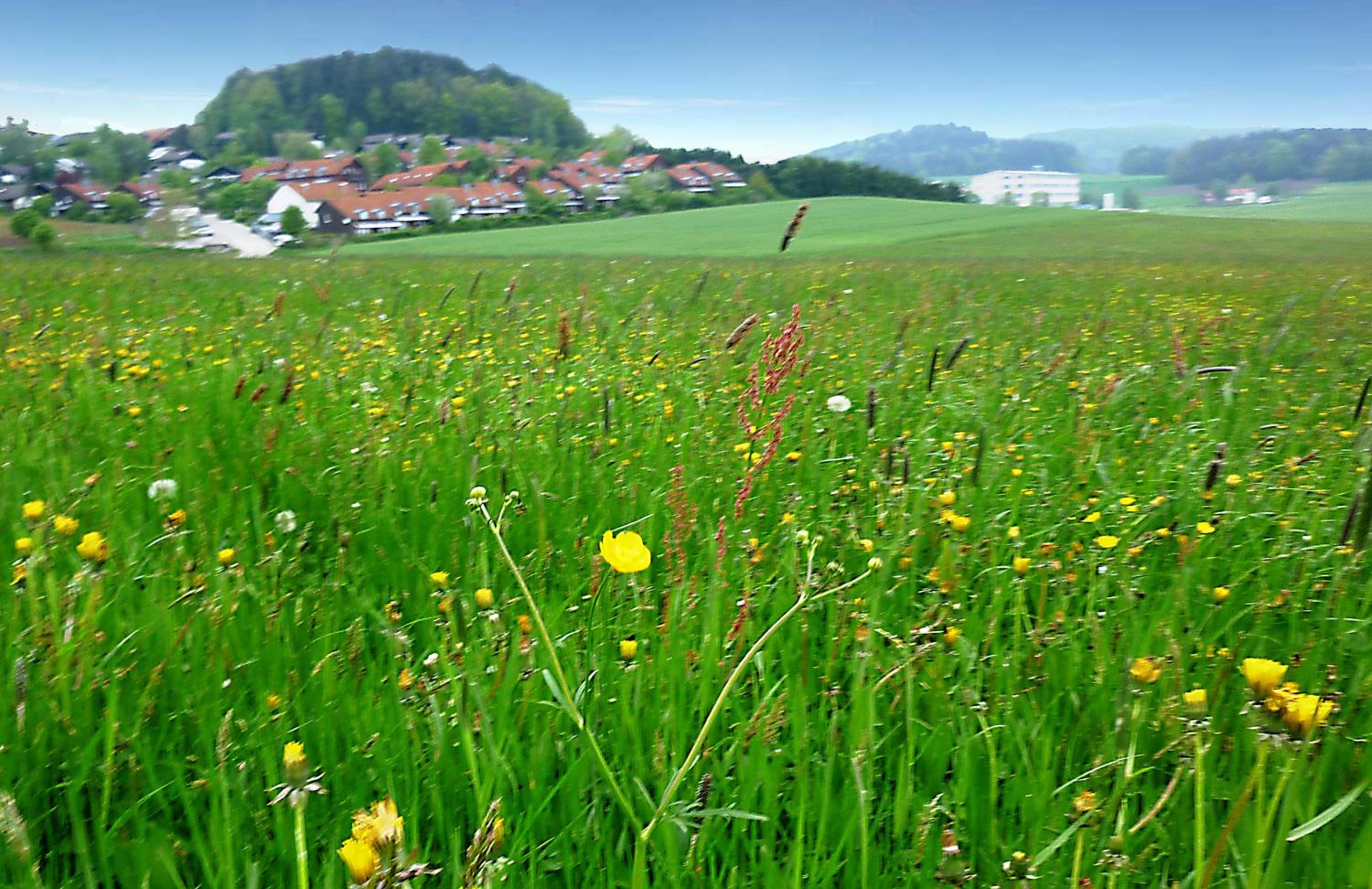 Ferienwohnung Gerda