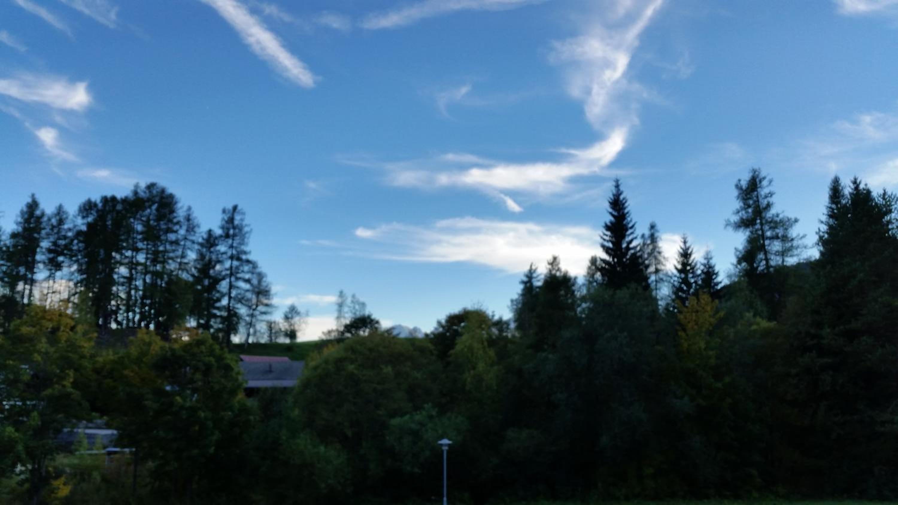 Ferienwohnungen Rauth