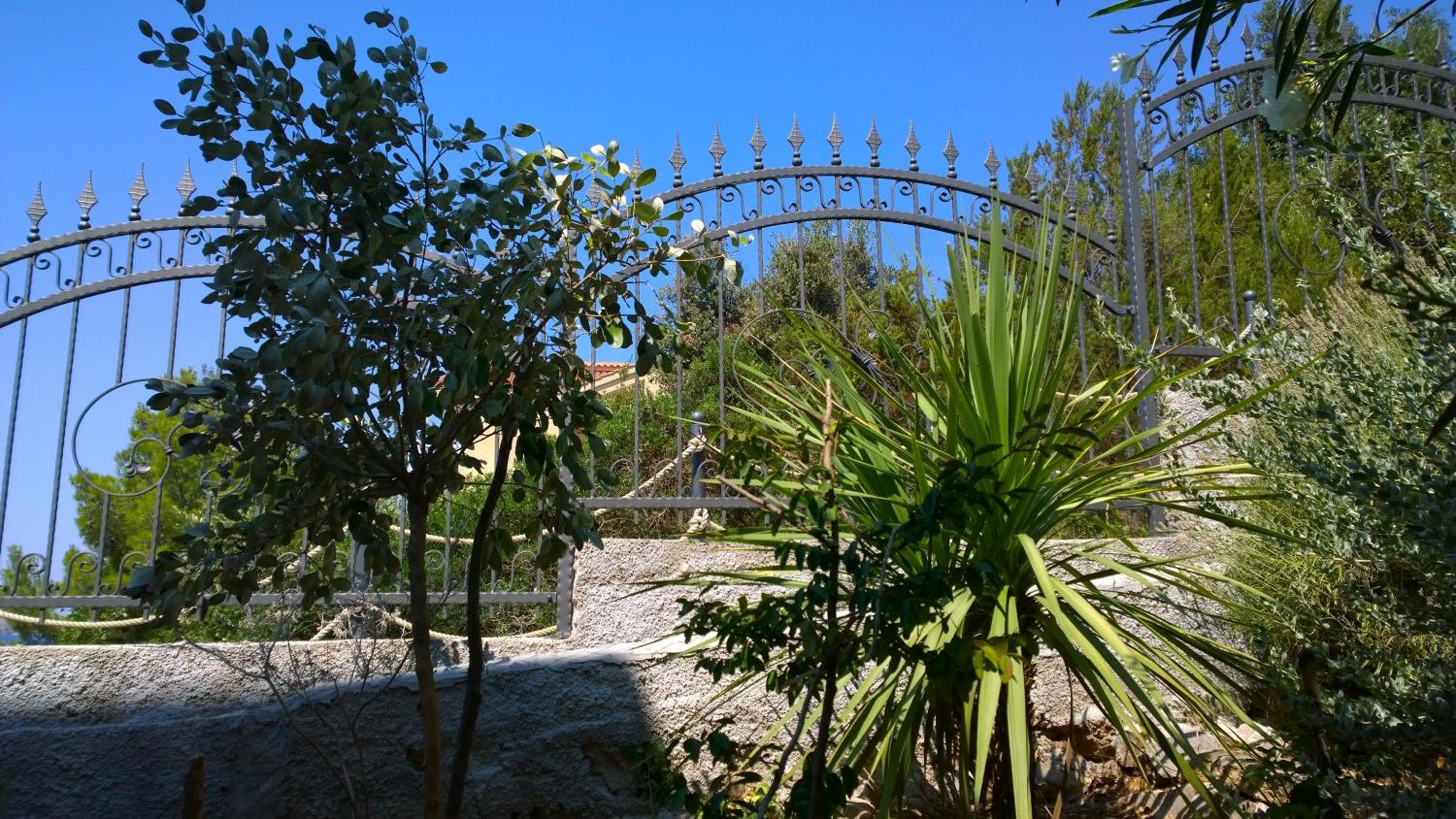 Photo 48