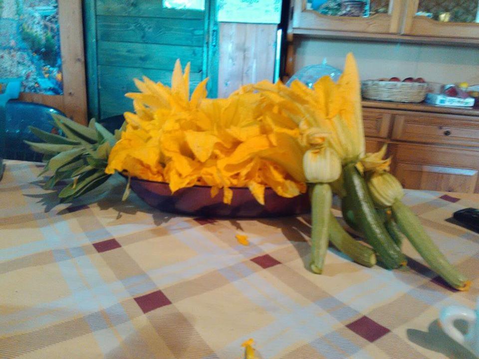 Agriturismo Cisogna